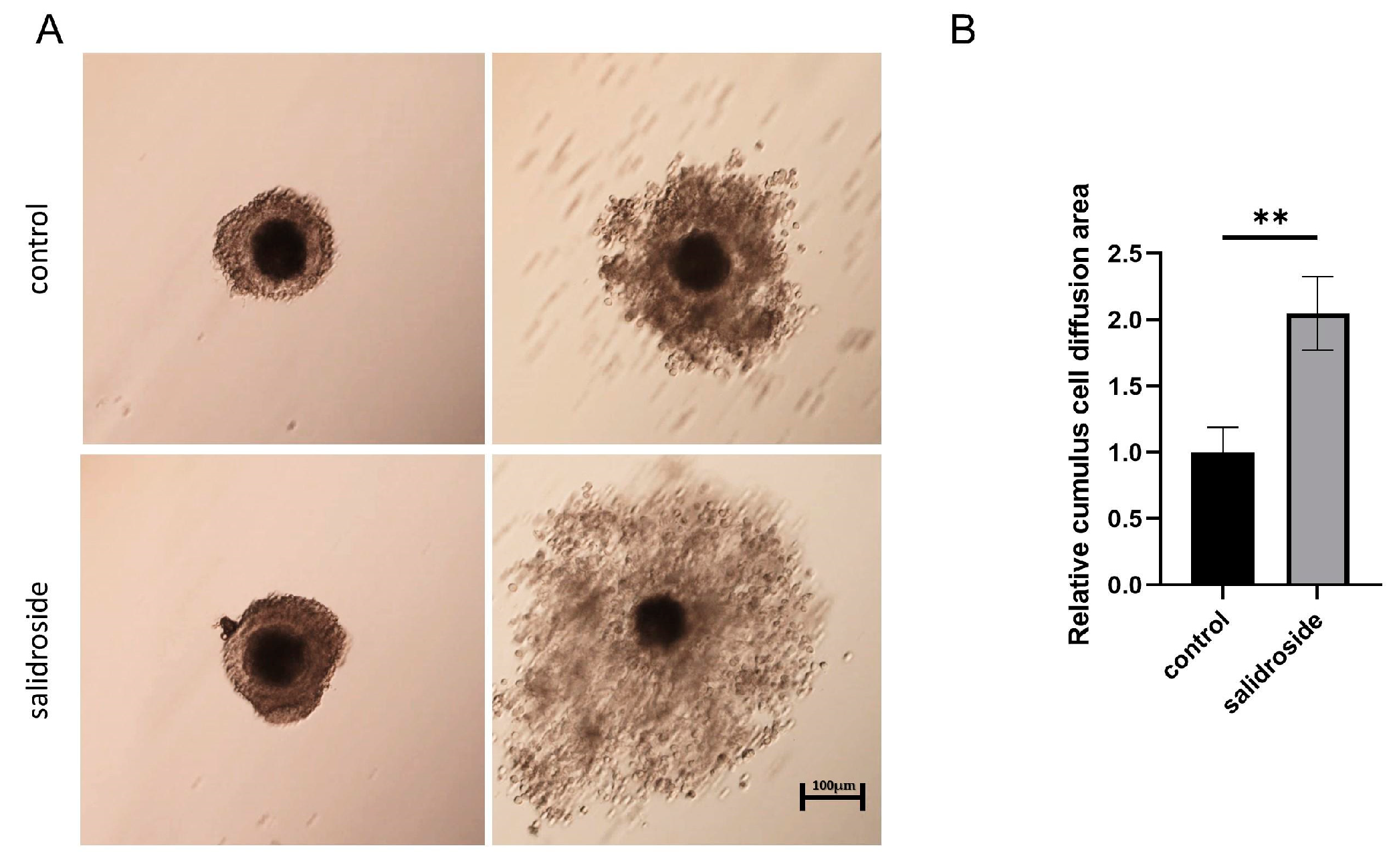 Genes 14 01729 g002 Genes 14 01729 g002