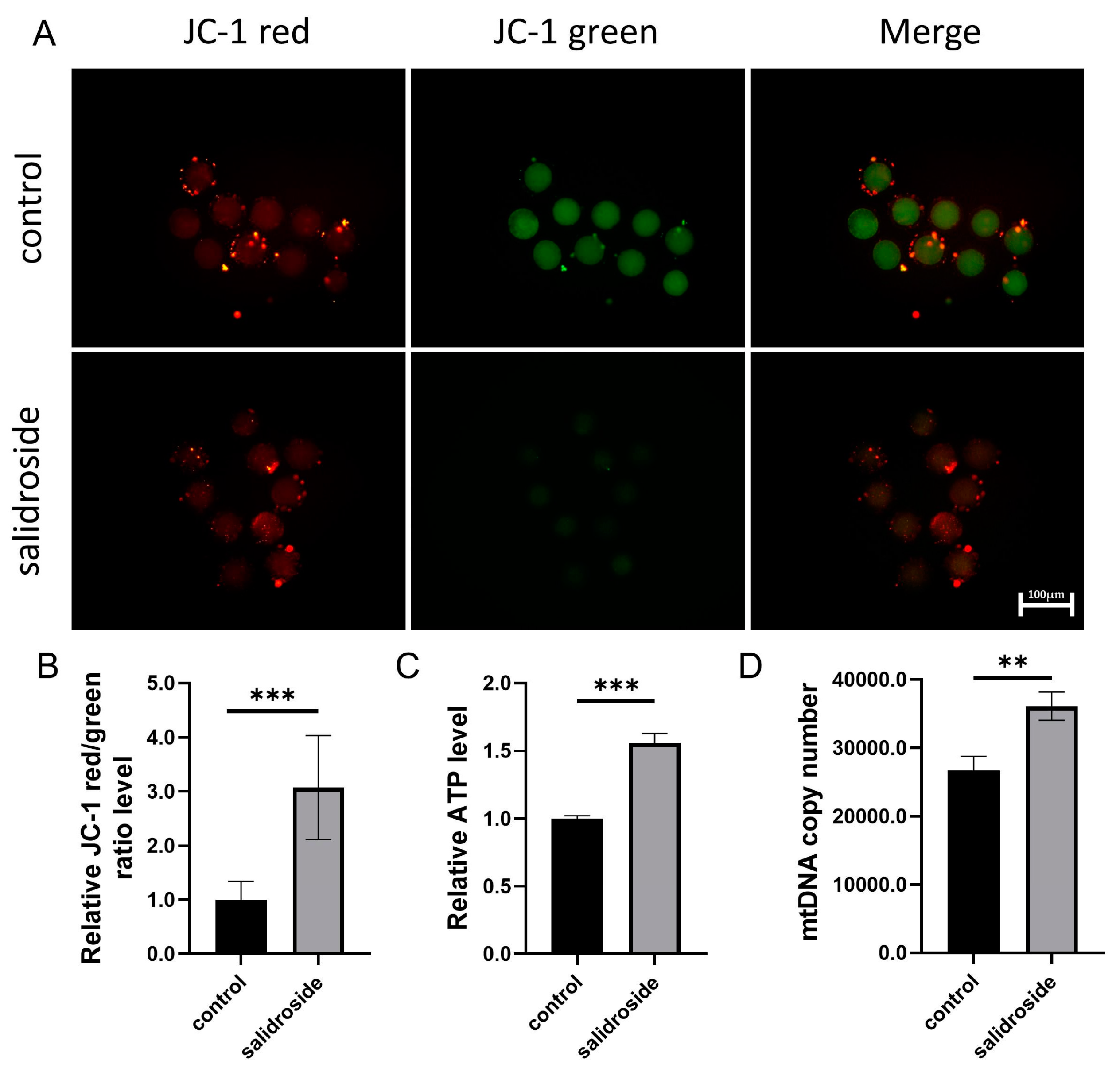 Genes 14 01729 g004 Genes 14 01729 g004