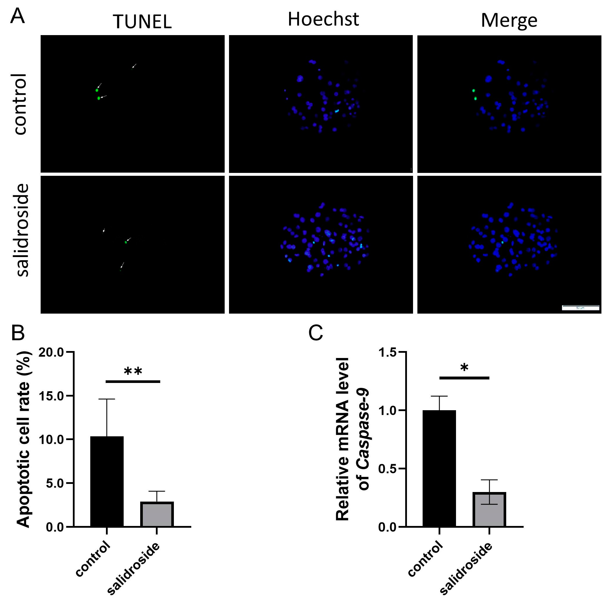 Genes 14 01729 g009 Genes 14 01729 g009