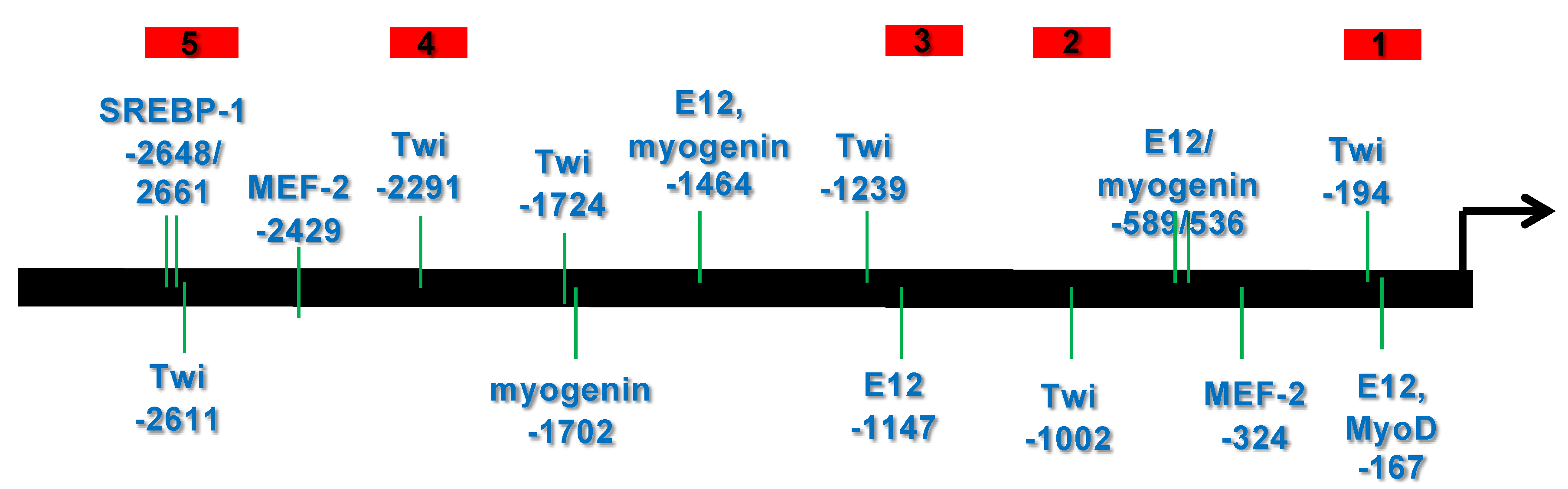 Genes 14 01733 g001