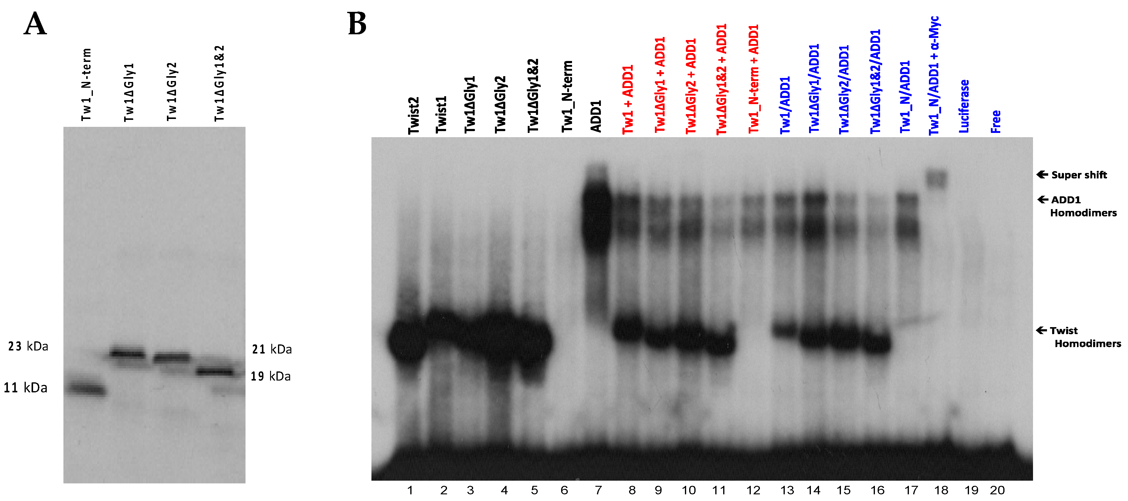 Genes 14 01733 g010
