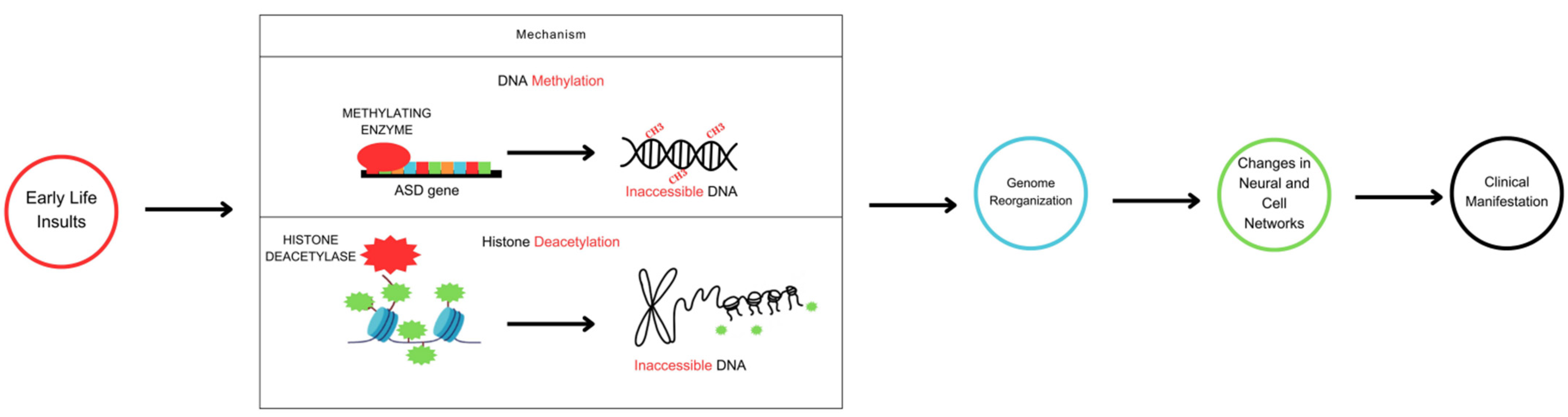 Genes 14 01734 g001