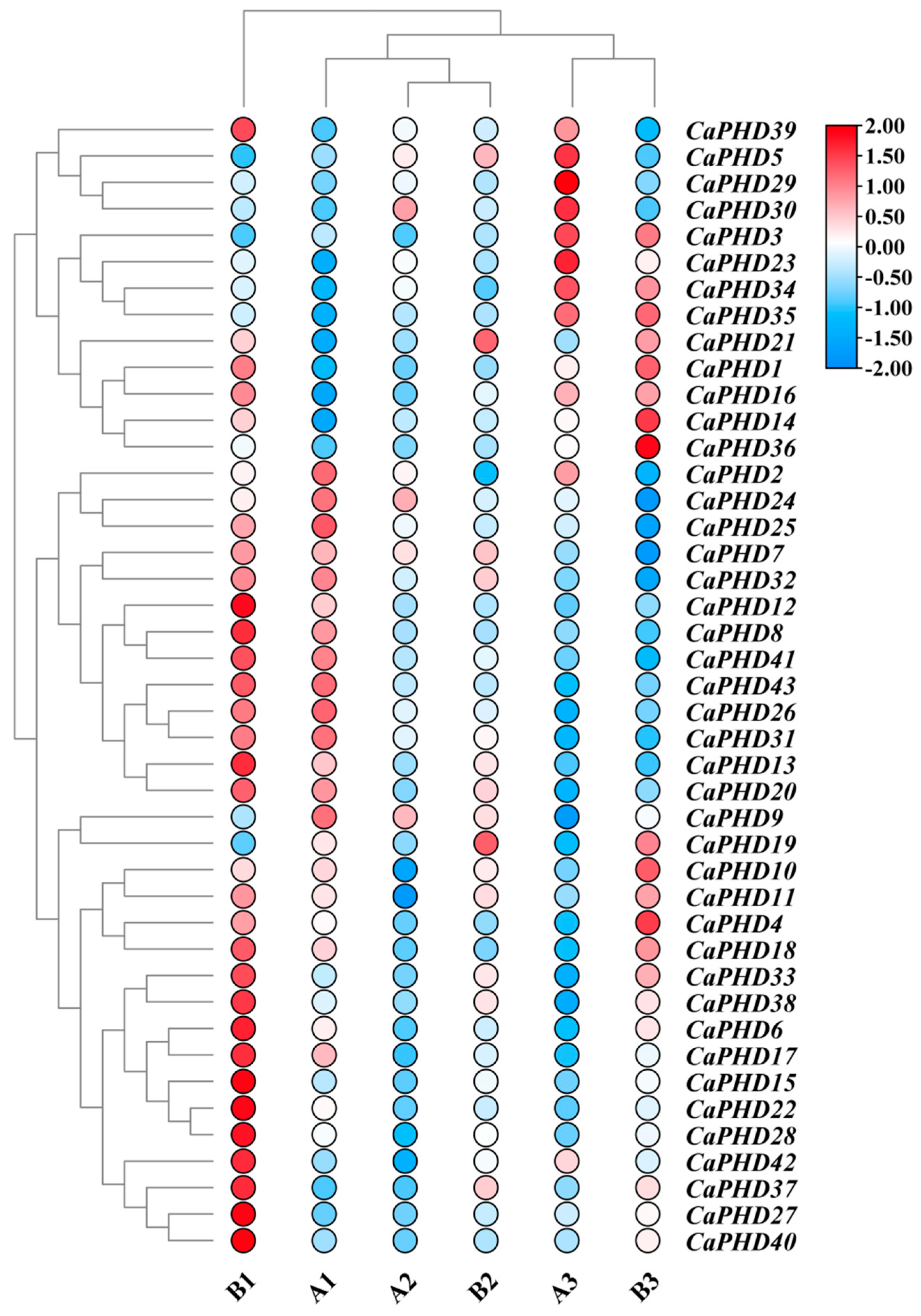Genes 14 01737 g005