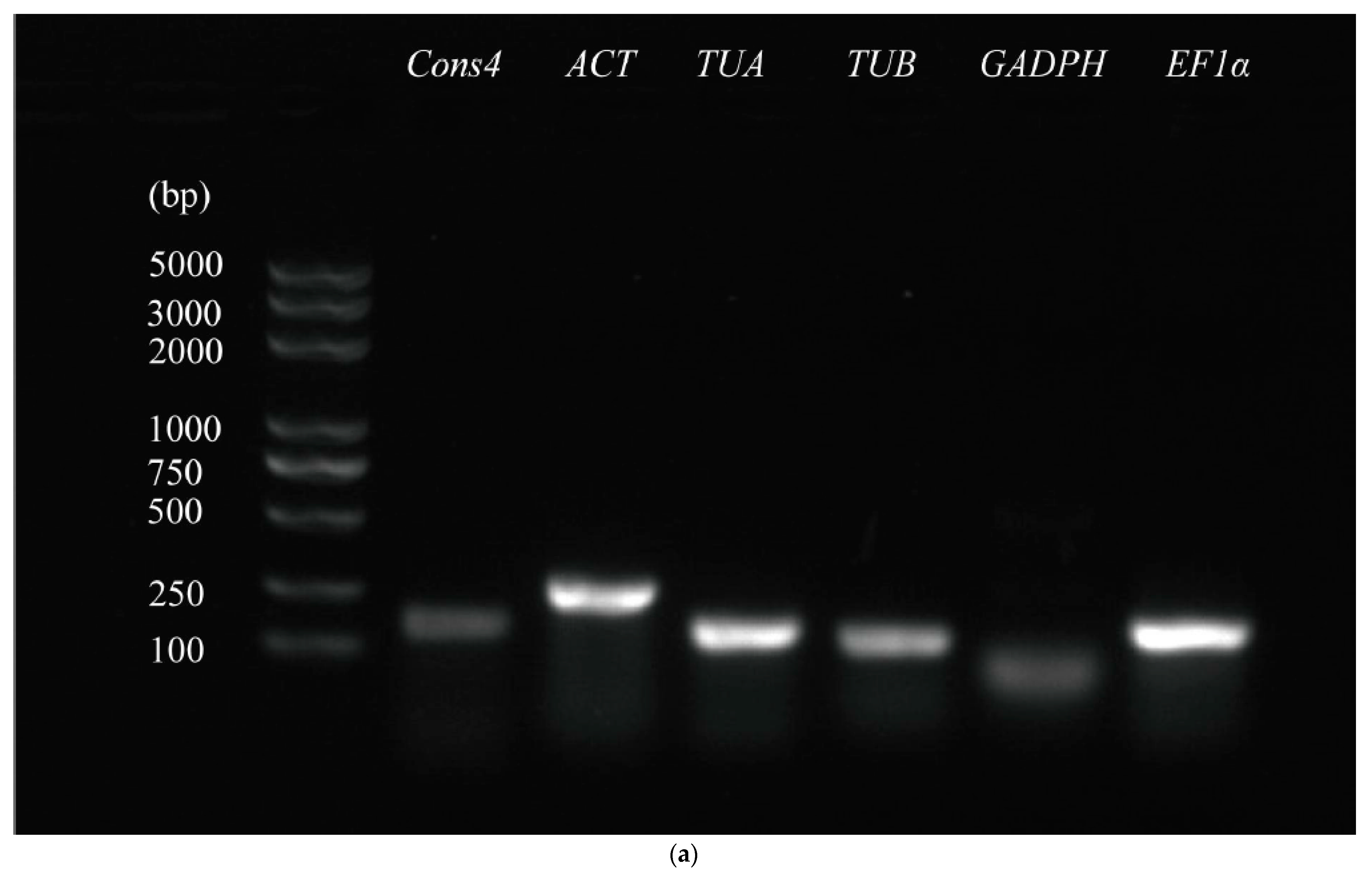Genes 14 01739 g001a