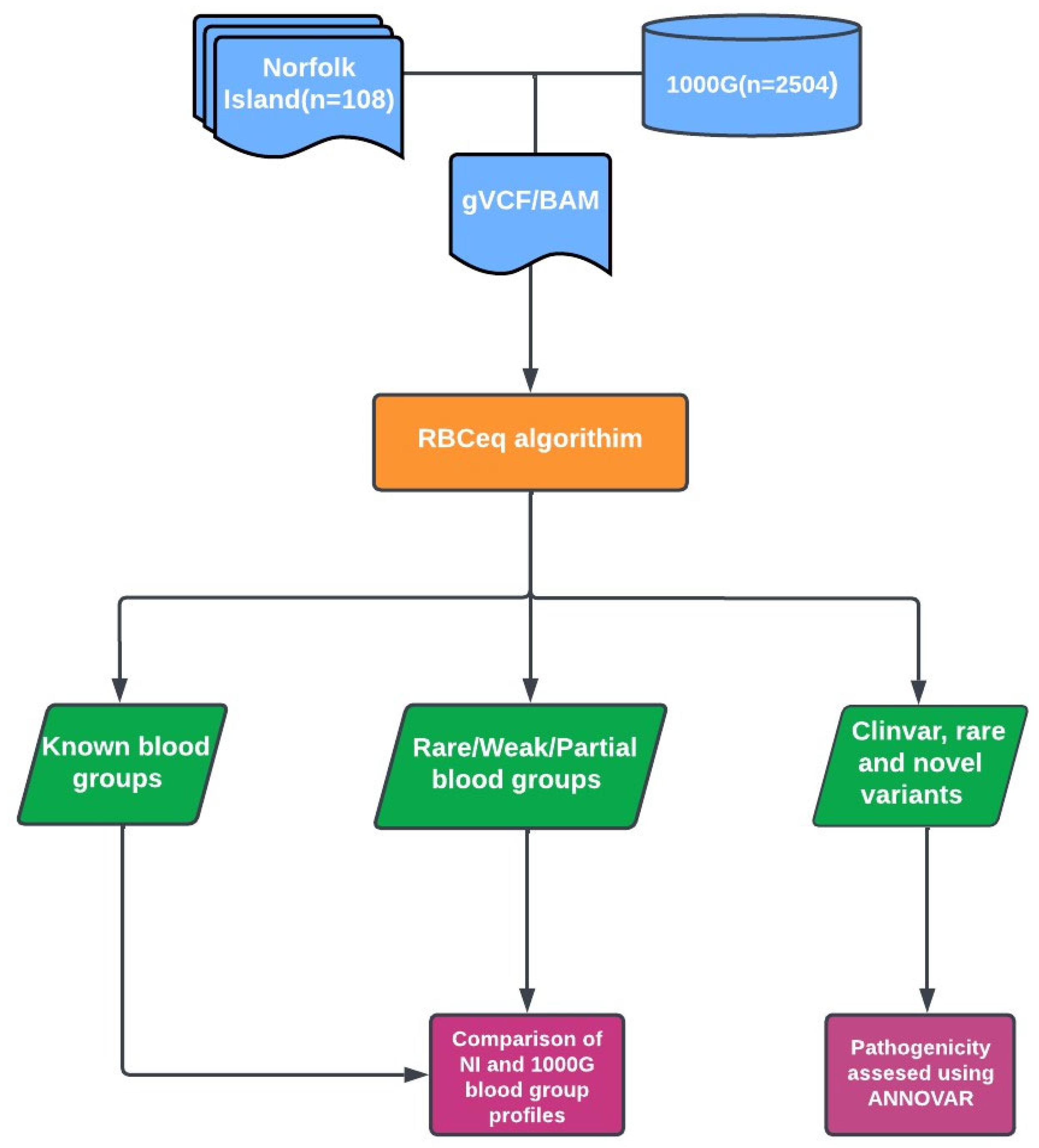 Genes 14 01740 g001 Genes 14 01740 g001