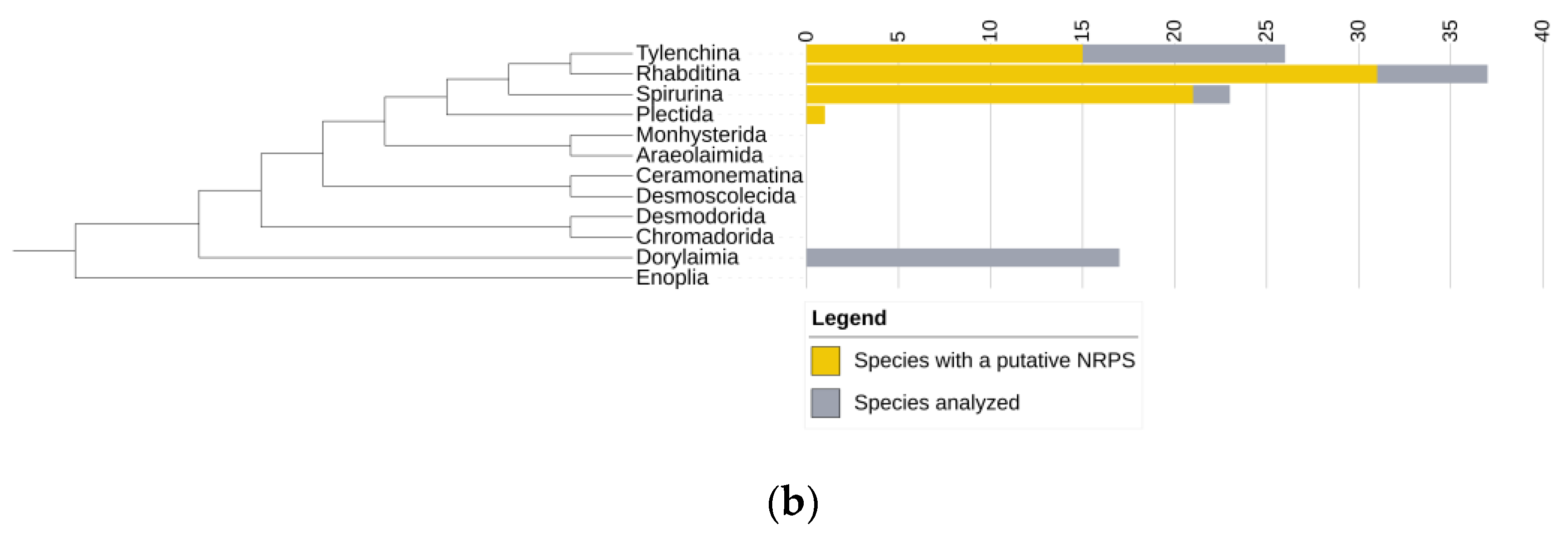 Genes 14 01741 g001b