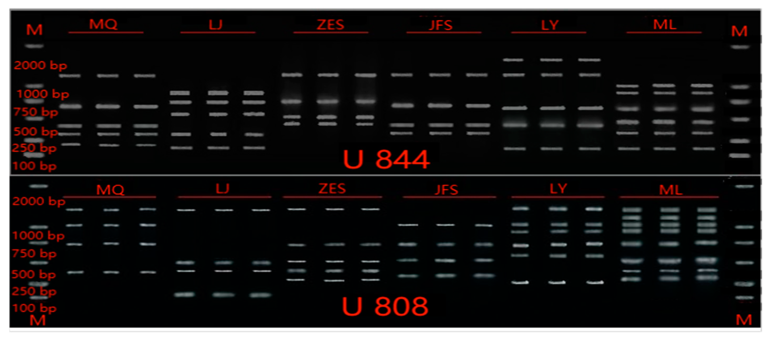Genes 14 01749 g002