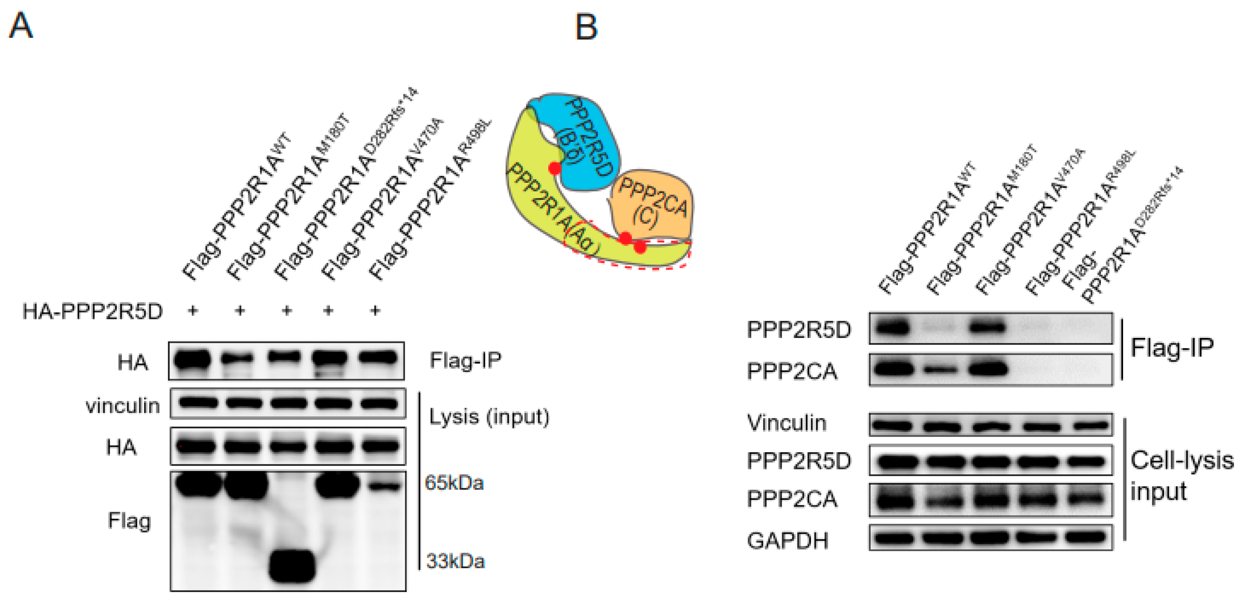 Genes 14 01750 g002