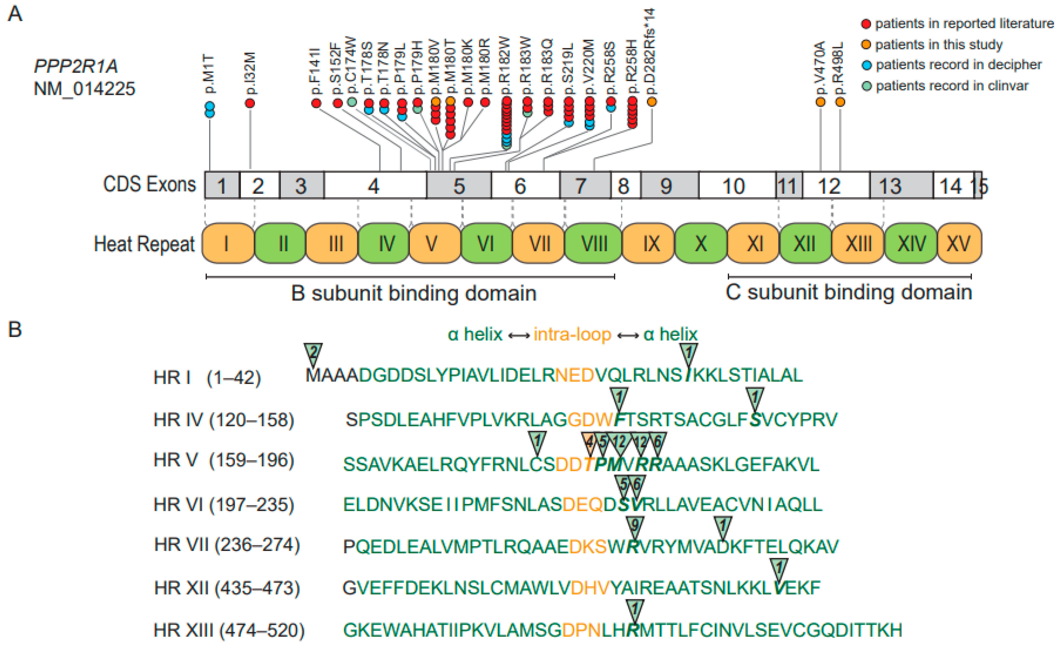 Genes 14 01750 g003