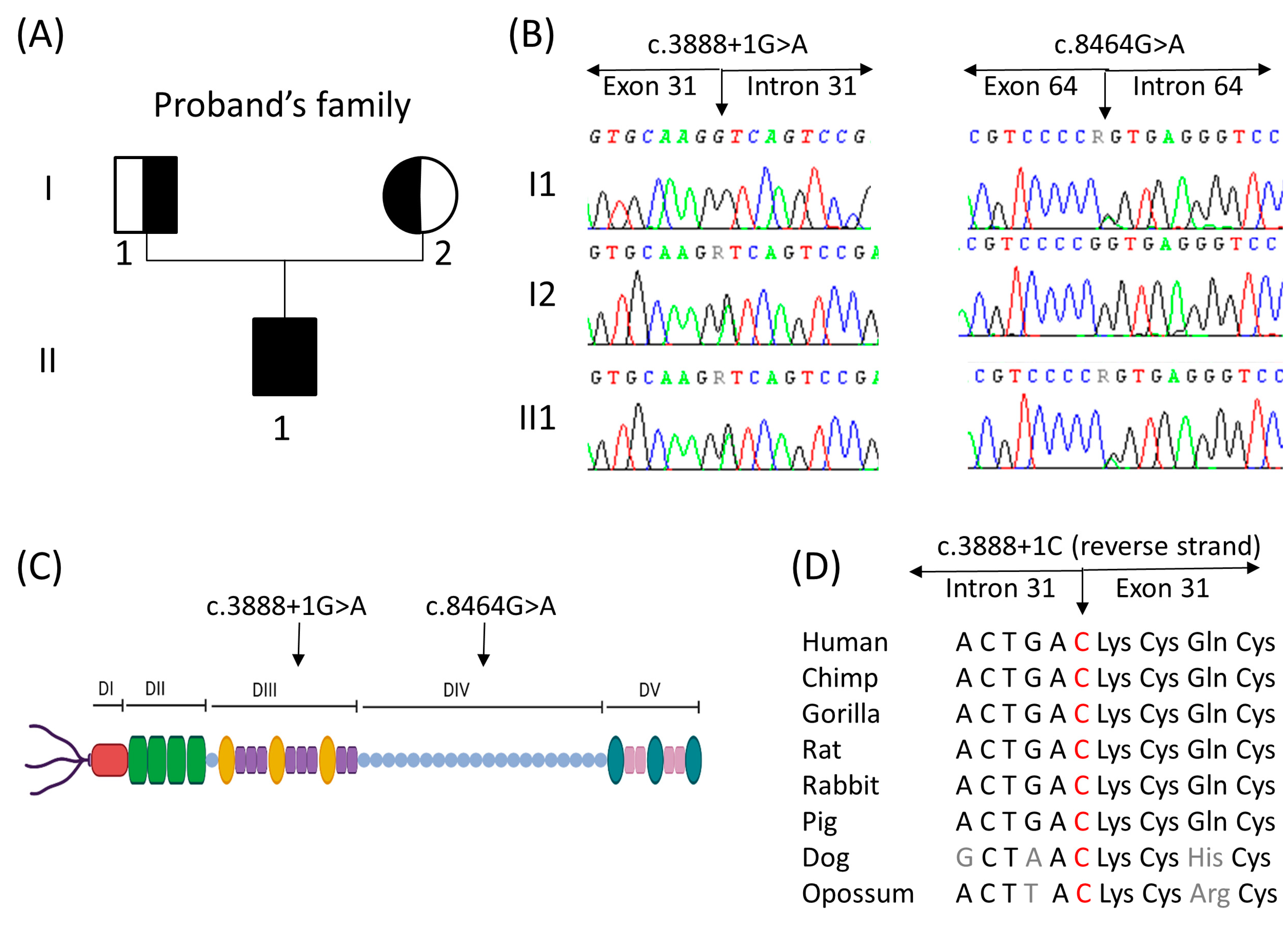 Genes 14 01753 g002