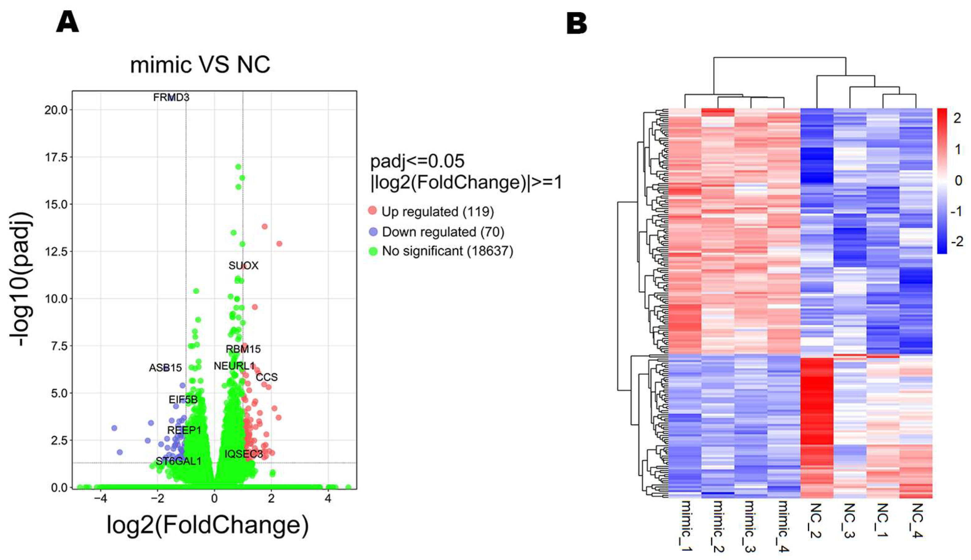 Genes 14 01764 g002