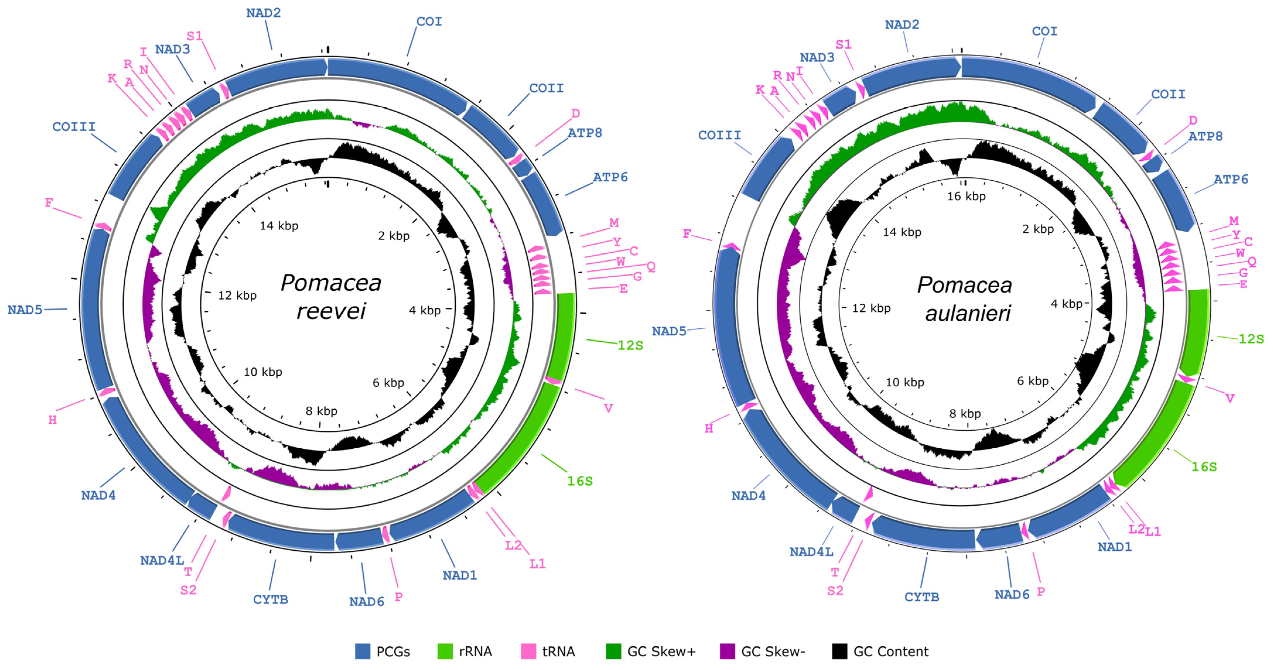 Genes 14 01769 g001