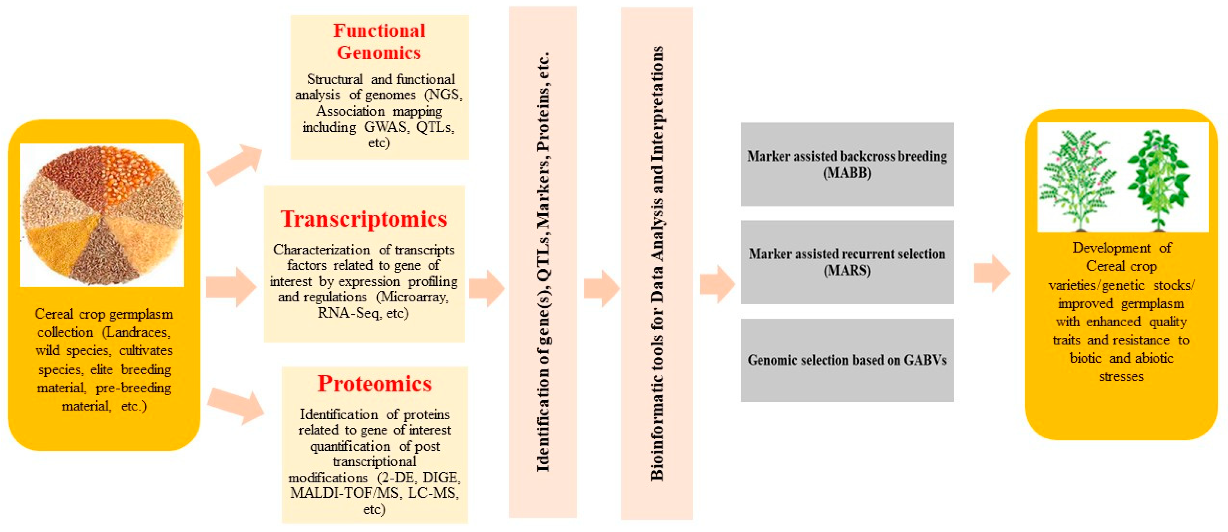 Genes 14 01770 g001 Genes 14 01770 g001