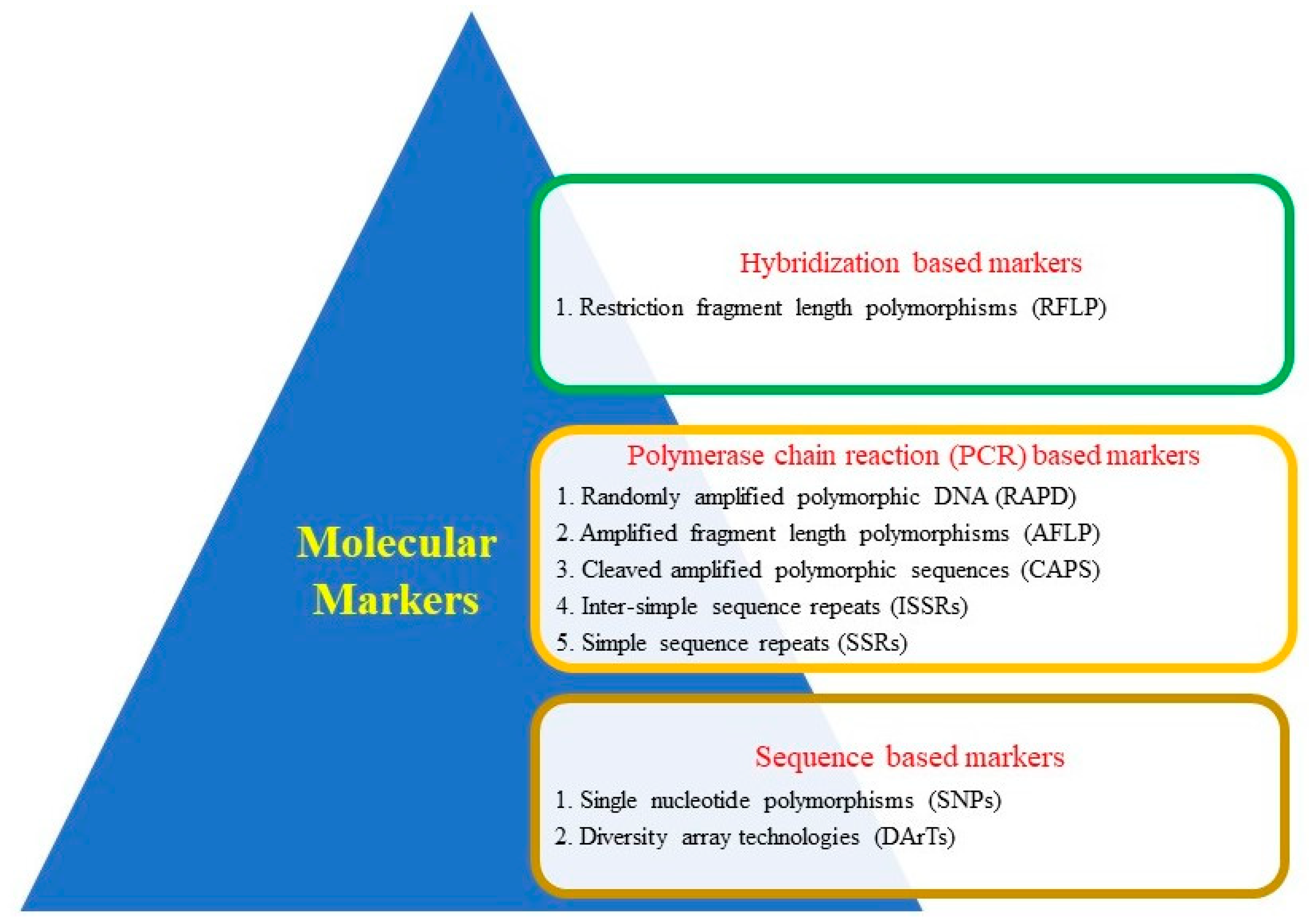 Genes 14 01770 g002 Genes 14 01770 g002