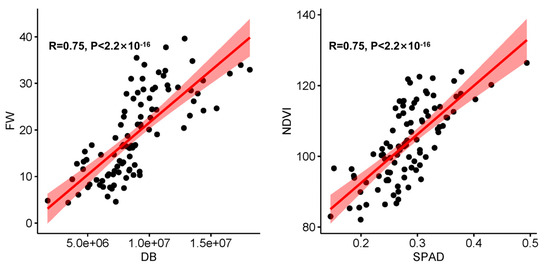 Using High-Throughput Phenotyping Analysis to Decipher the