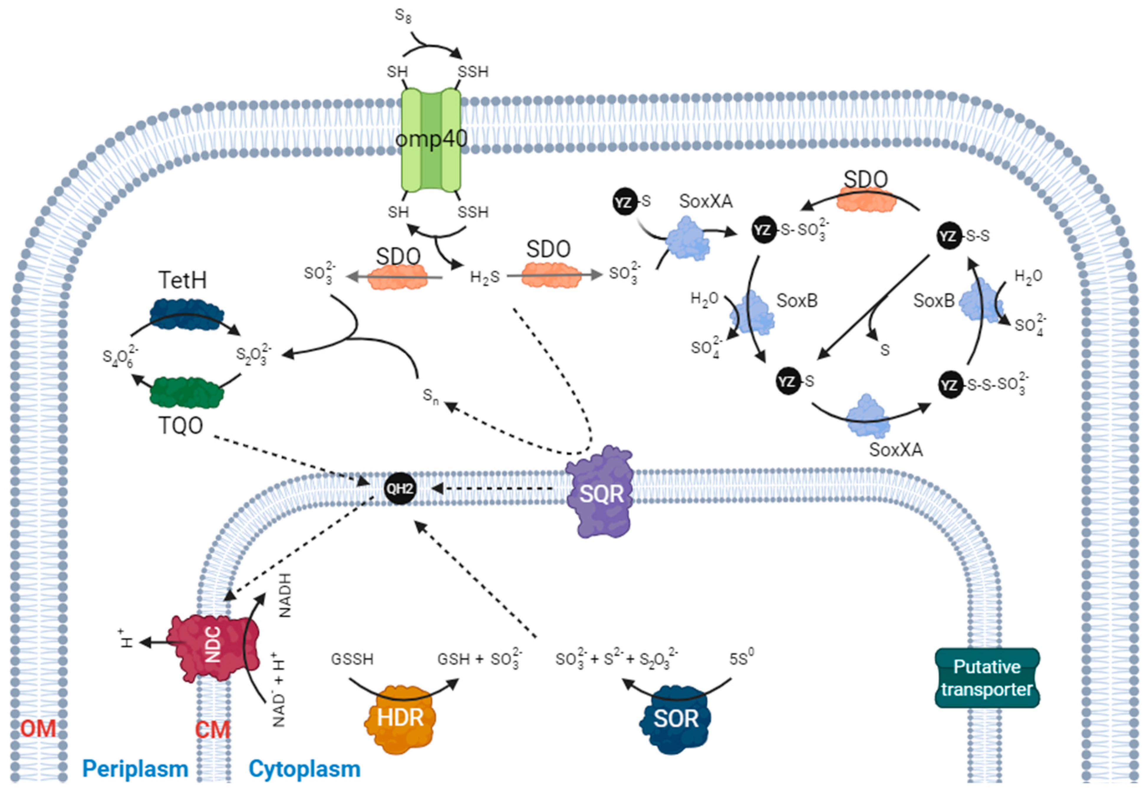 Genes 14 01772 g001 Genes 14 01772 g001