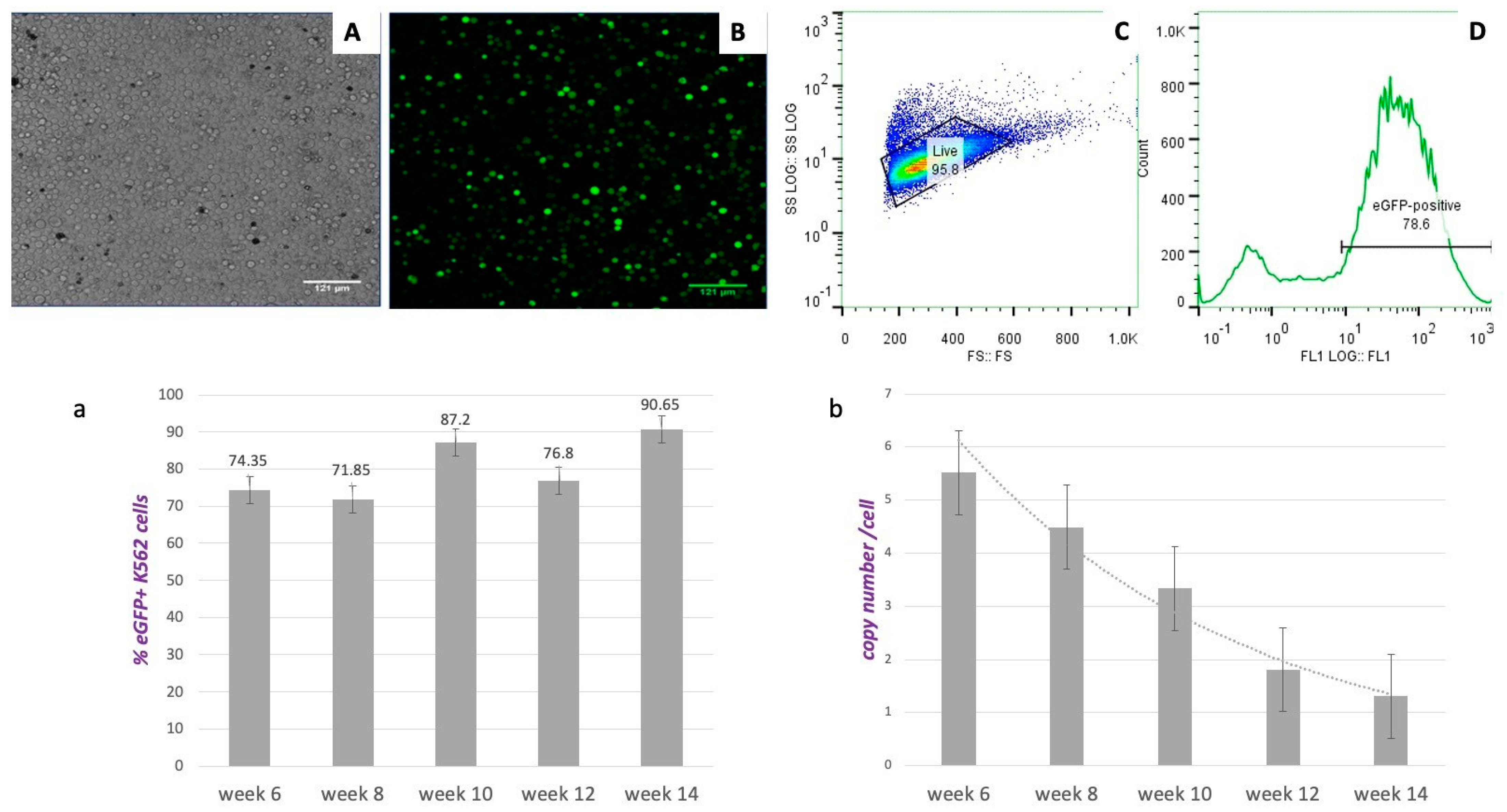 Genes 14 01774 g002 Genes 14 01774 g002