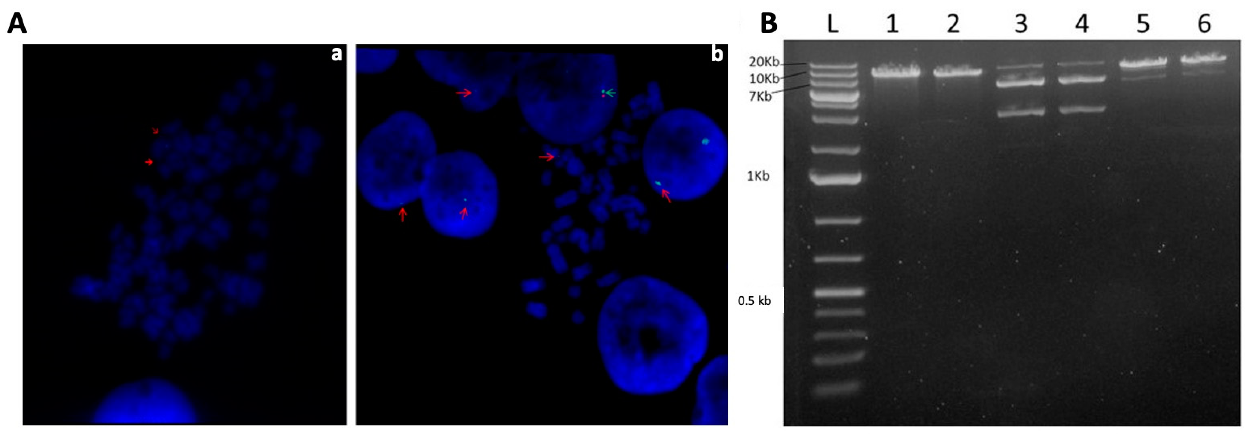 Genes 14 01774 g003 Genes 14 01774 g003