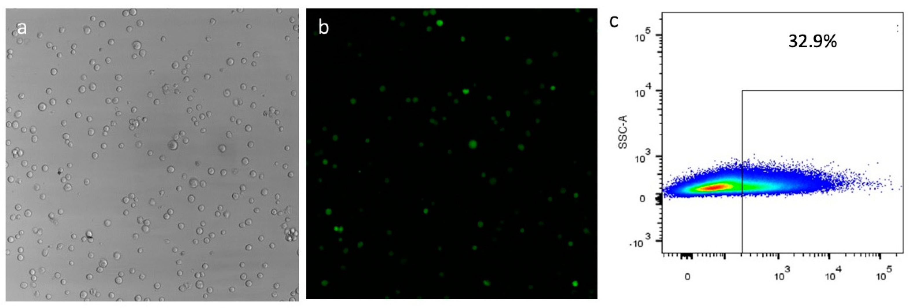 Genes 14 01774 g005 Genes 14 01774 g005