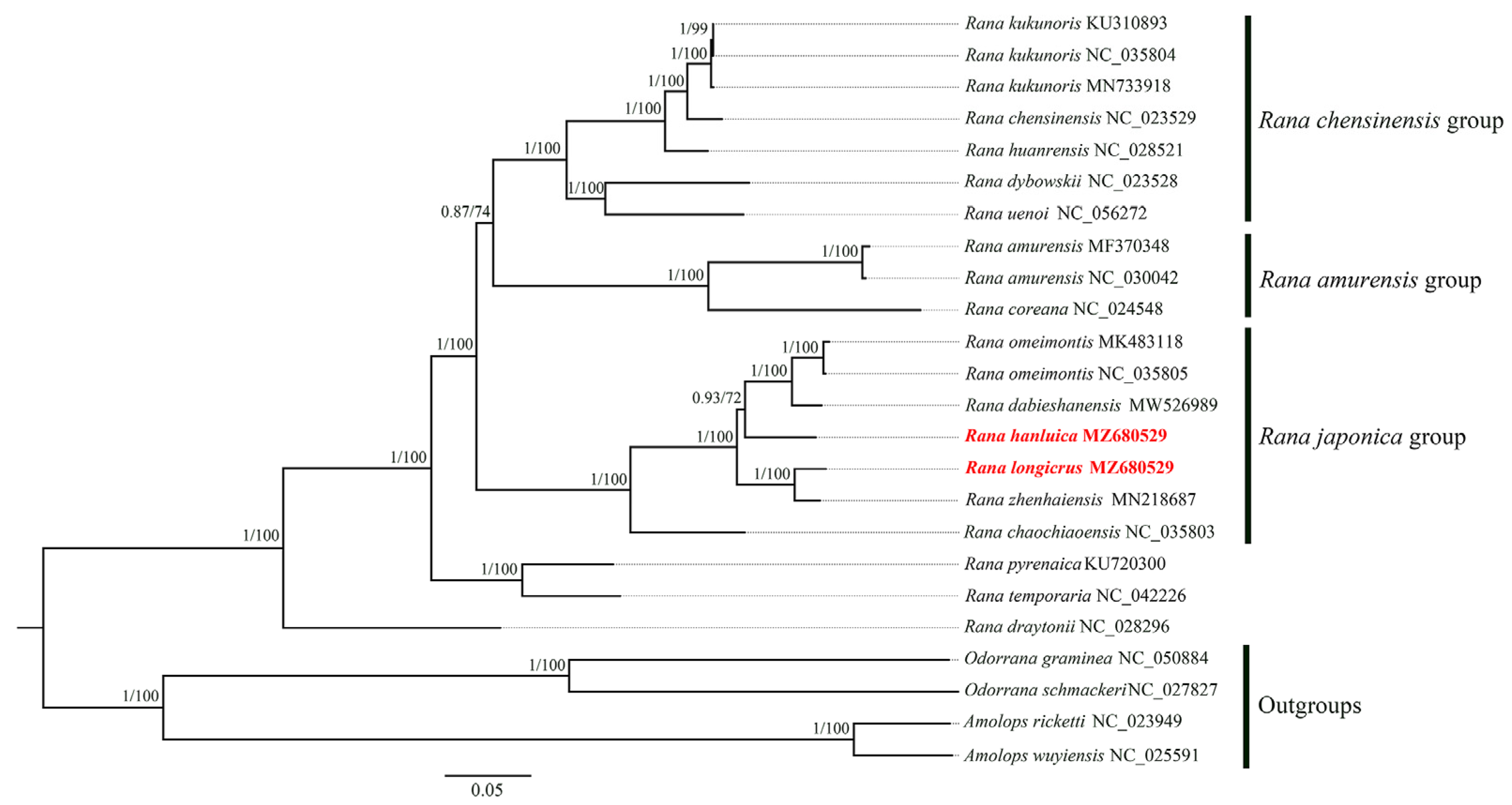 Genes 14 01786 g004 Genes 14 01786 g004