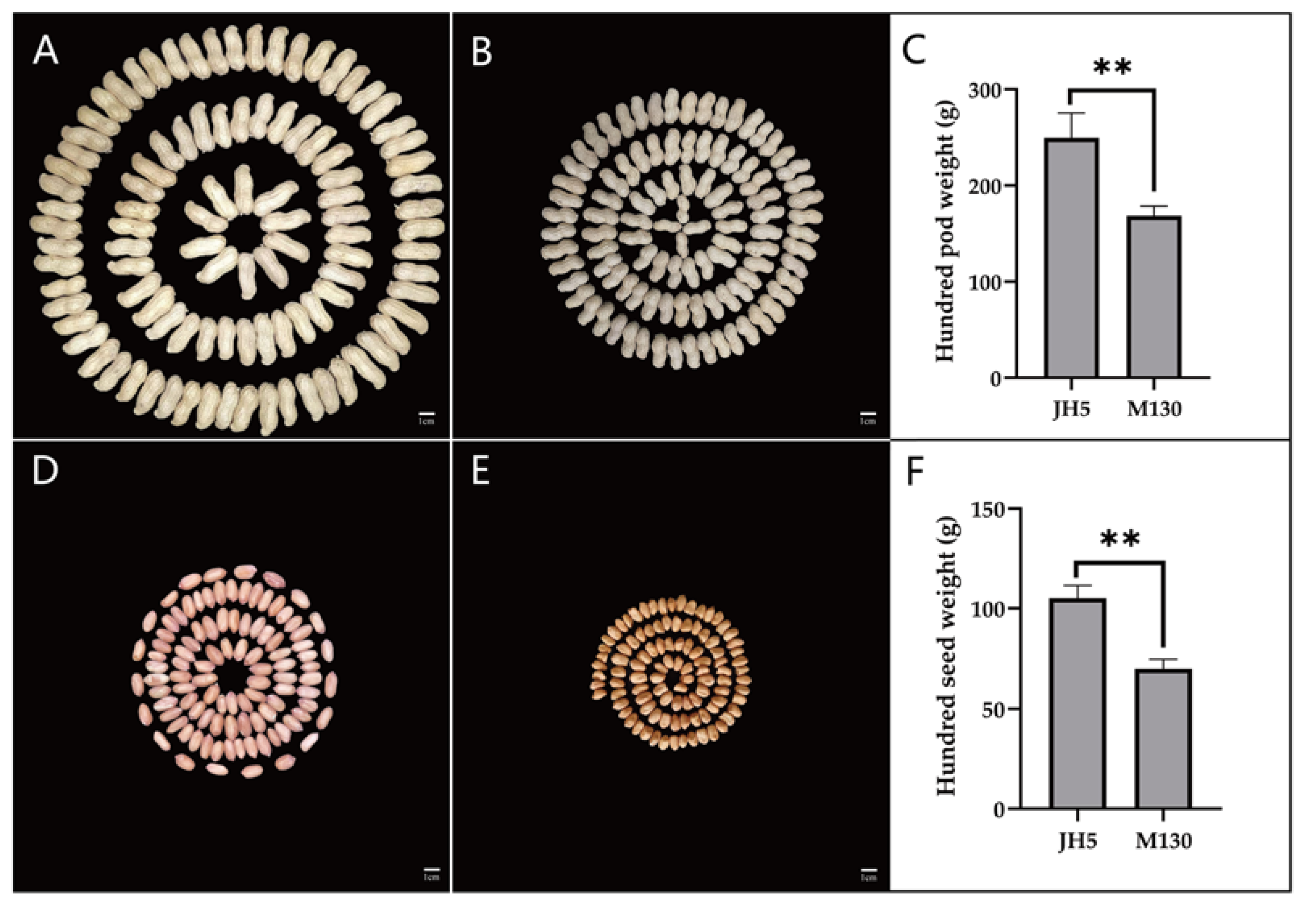 Genes 14 01792 g001 Genes 14 01792 g001