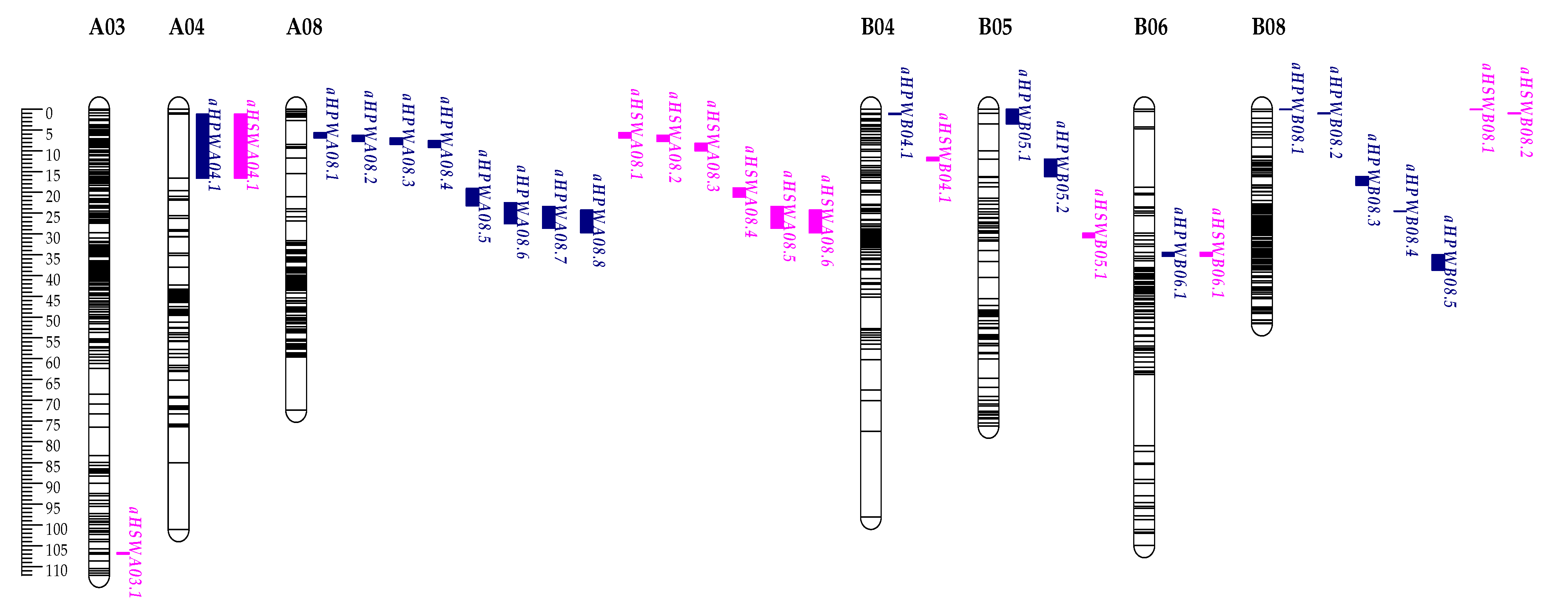 Genes 14 01792 g005 Genes 14 01792 g005
