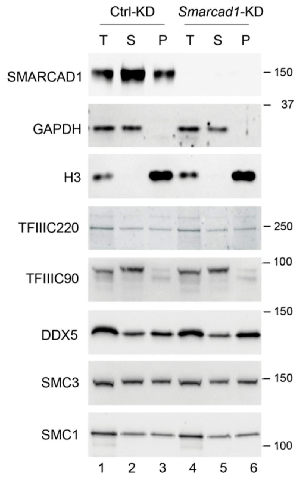 Genes 14 01793 g005 Genes 14 01793 g005