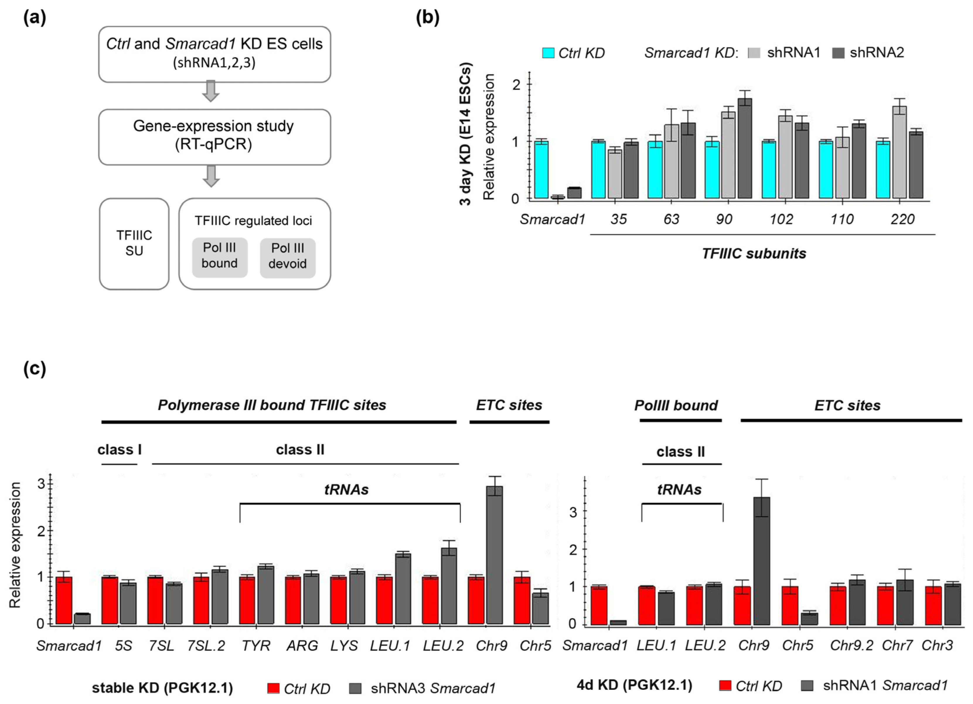Genes 14 01793 g006 Genes 14 01793 g006