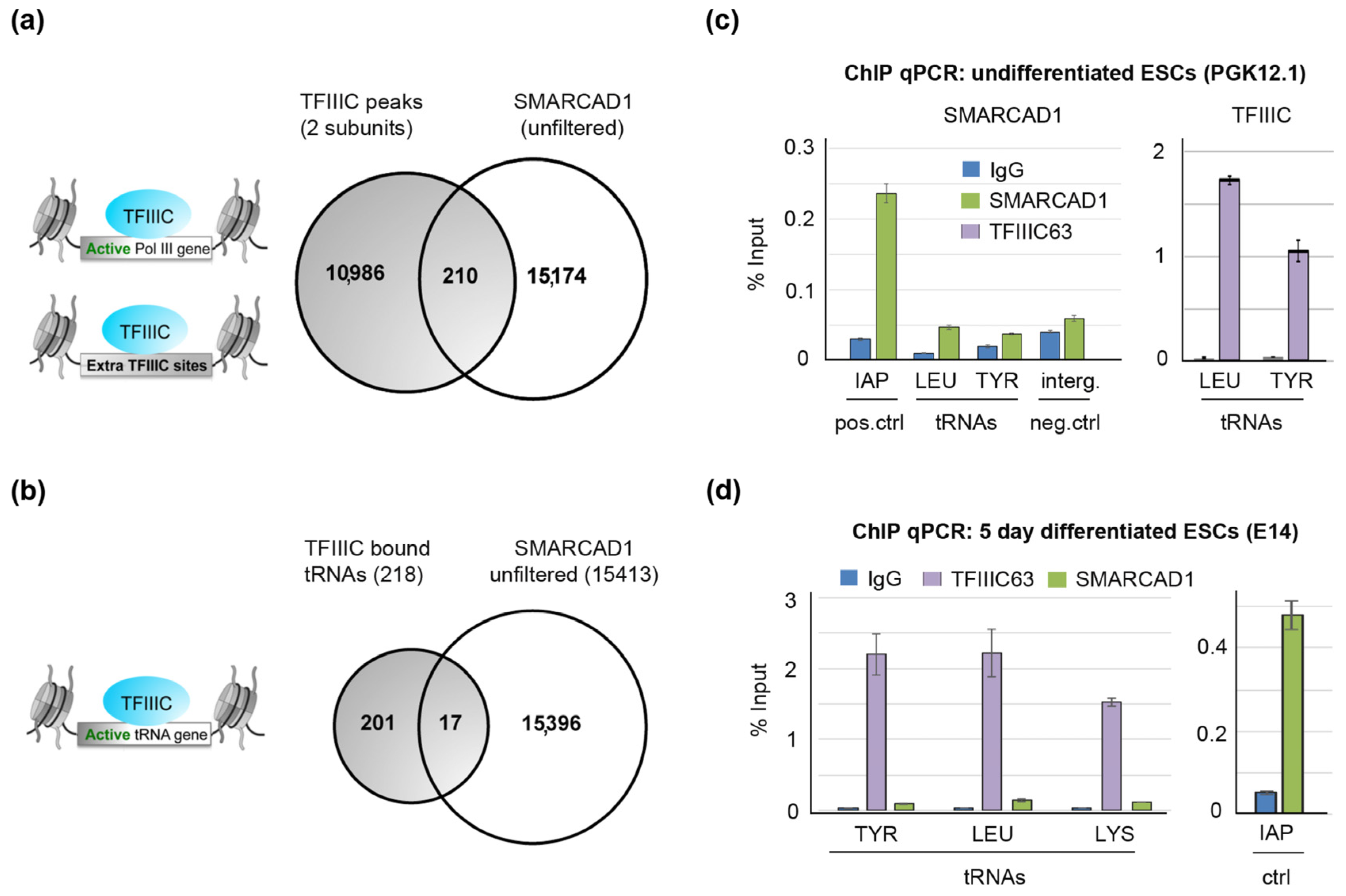 Genes 14 01793 g007 Genes 14 01793 g007