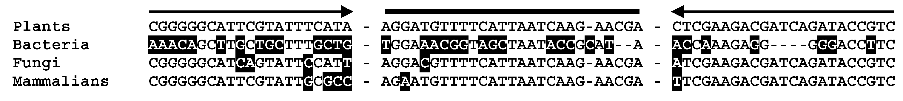 Genes 14 01797 g002