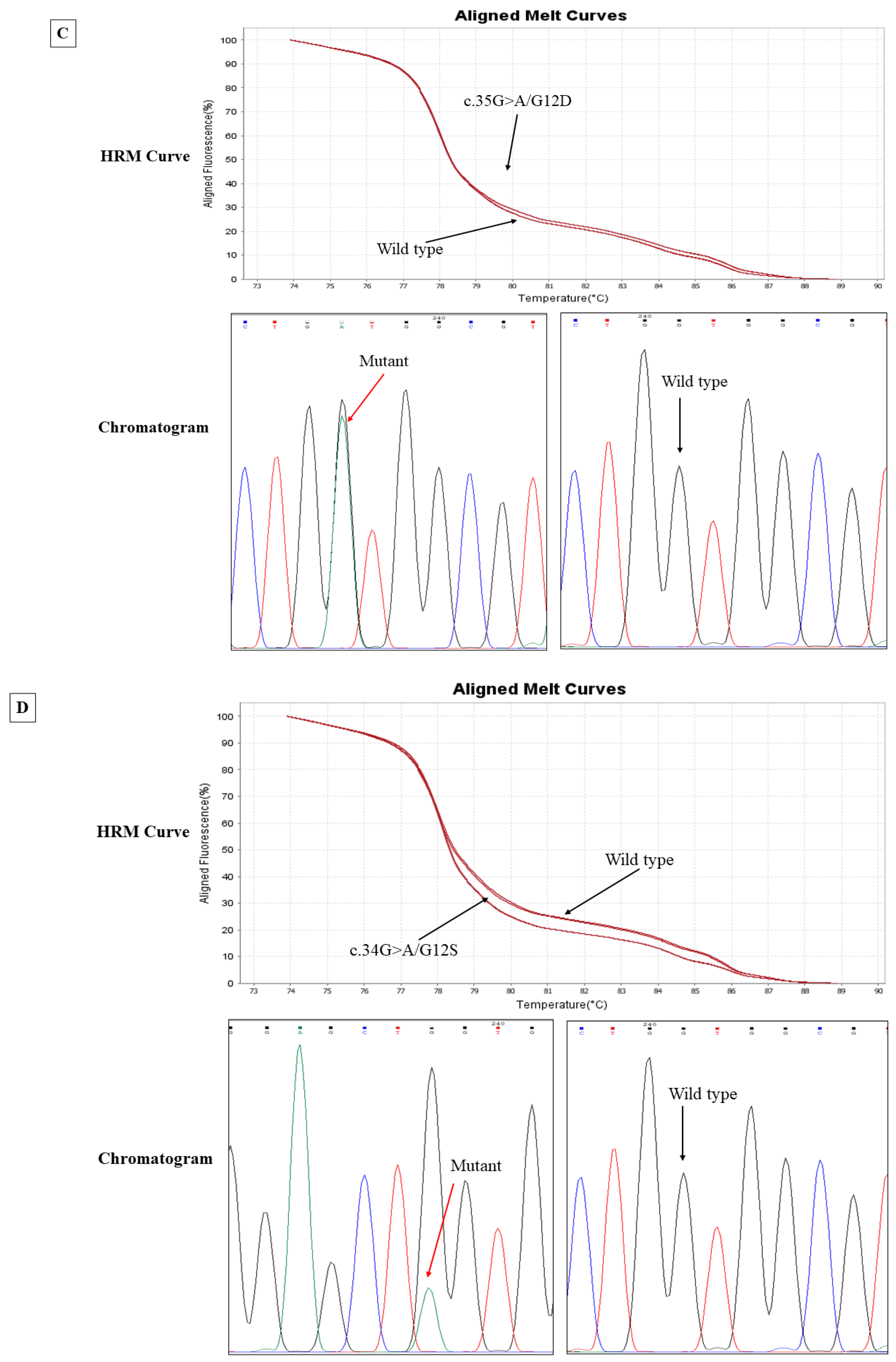 Genes 14 01808 g002b