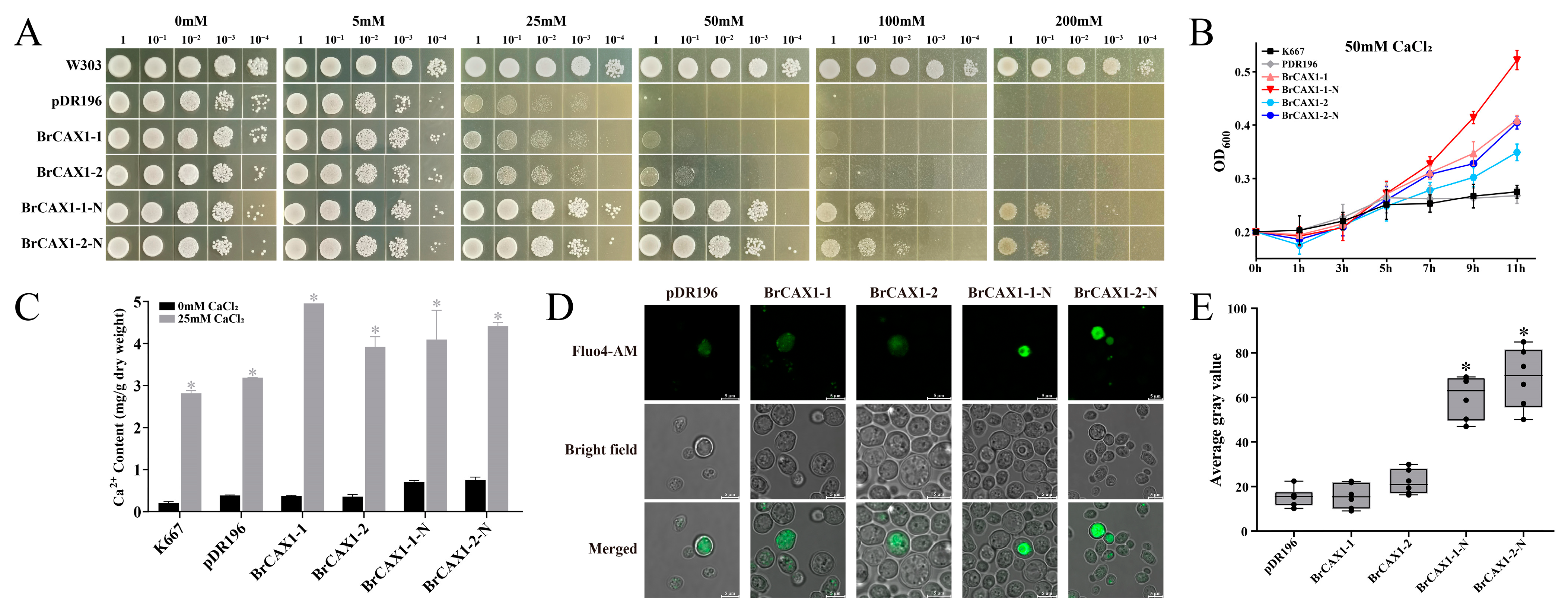 Genes 14 01810 g010