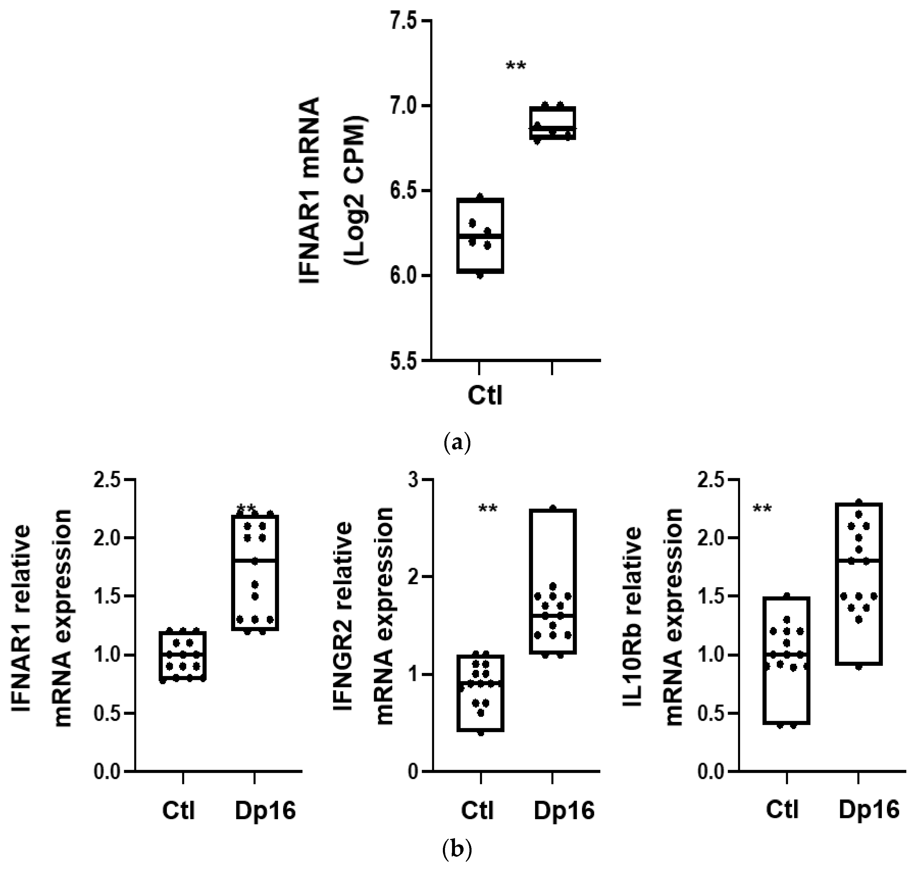Genes 14 01819 g003a Genes 14 01819 g003a