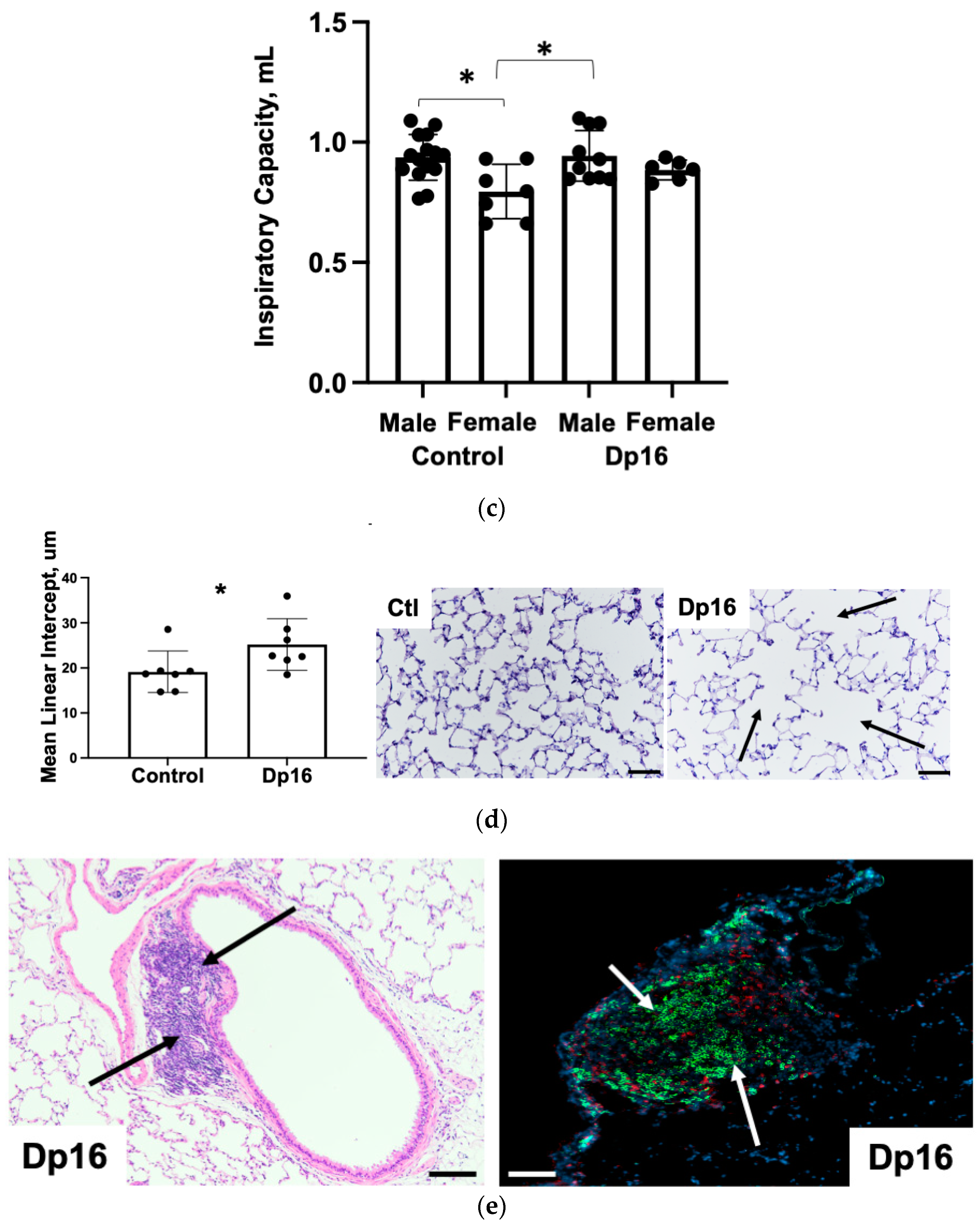 Genes 14 01819 g004b Genes 14 01819 g004b