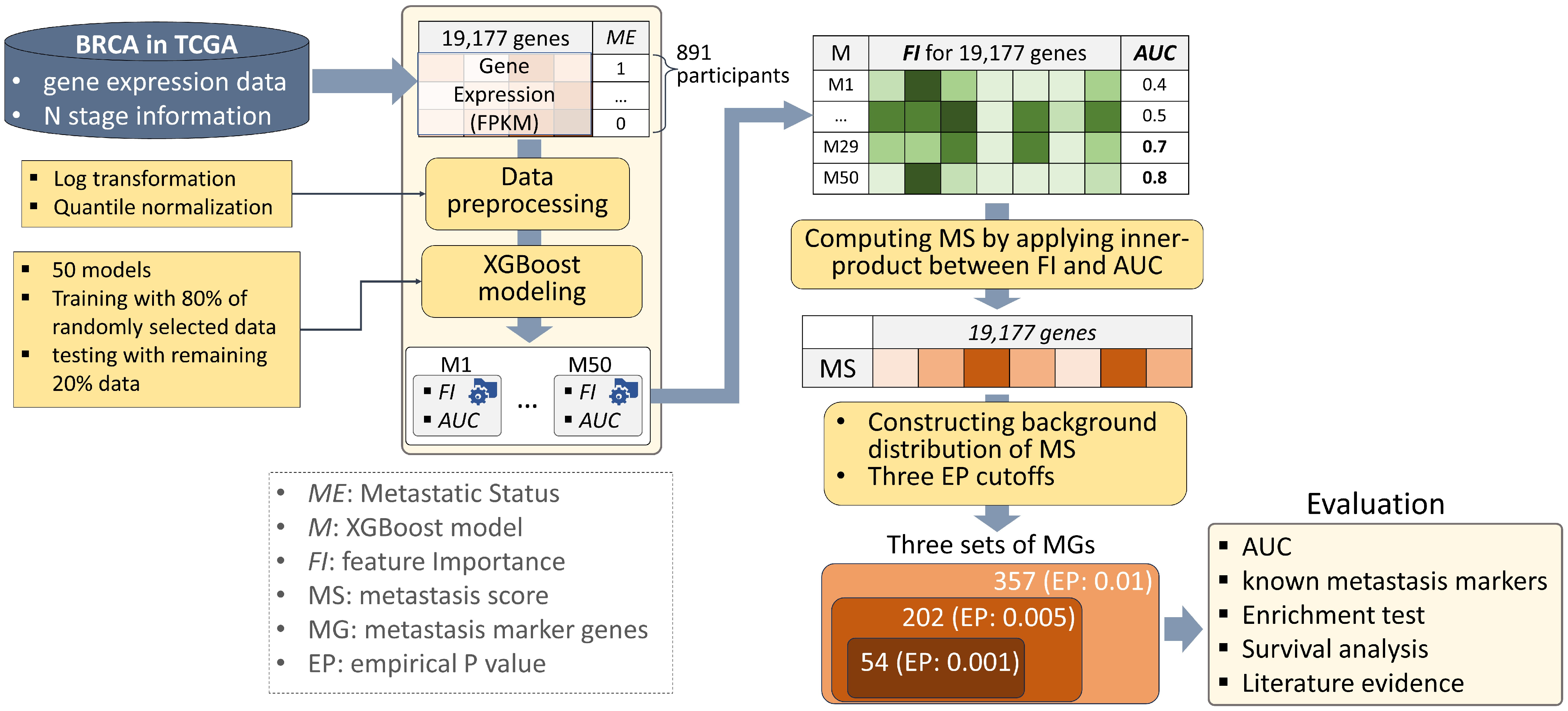 Genes 14 01820 g001