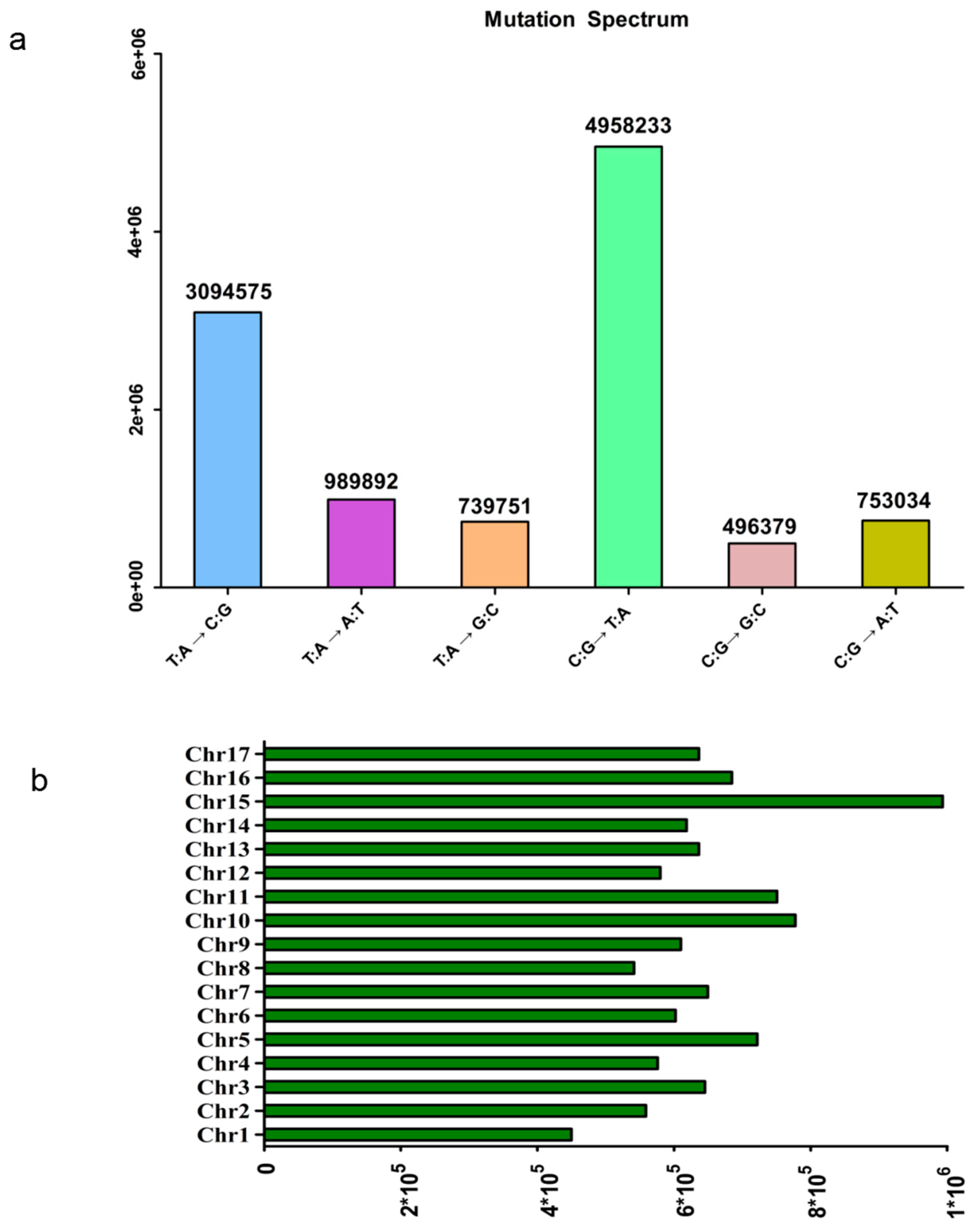 Genes 14 01827 g001