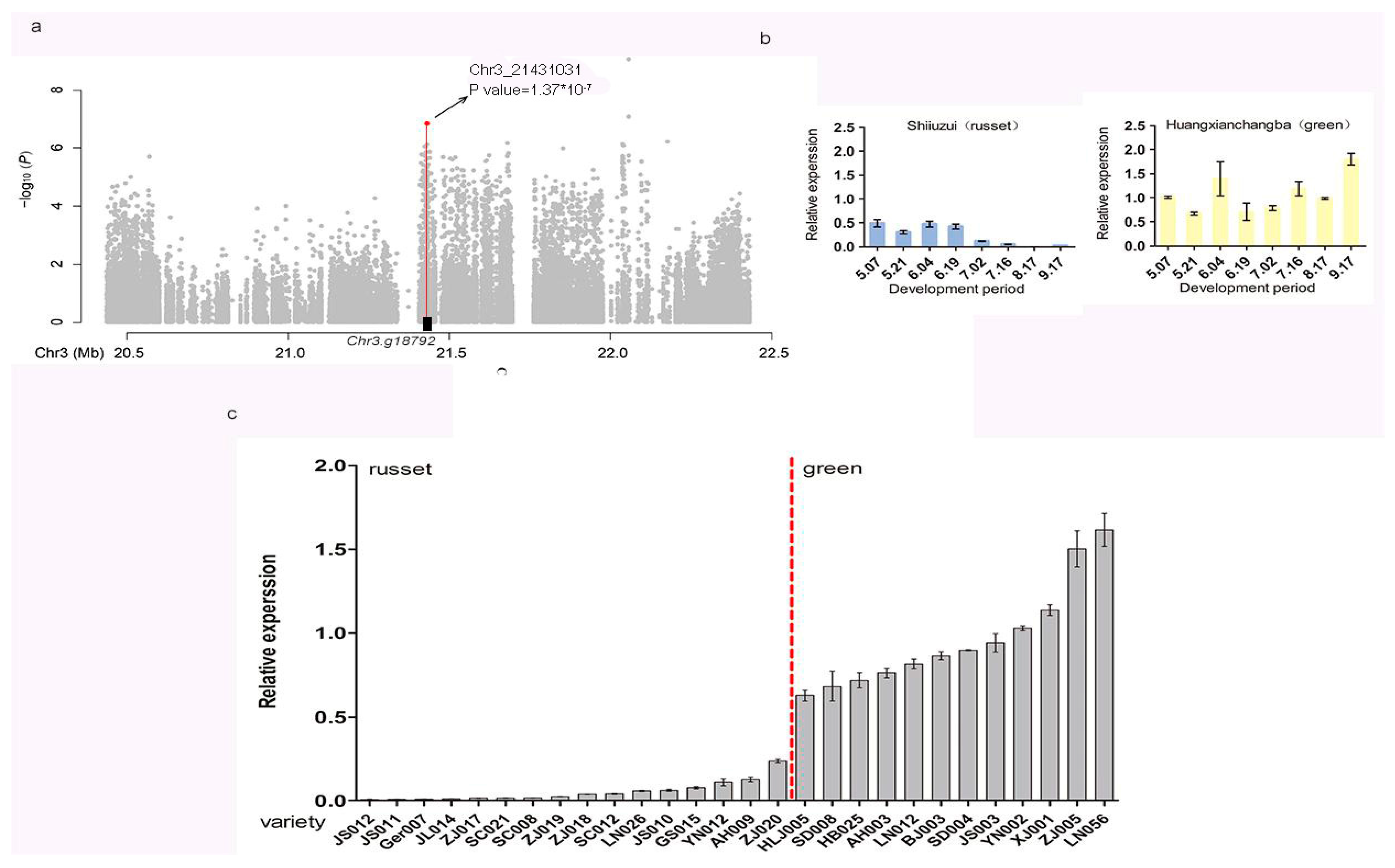 Genes 14 01827 g004