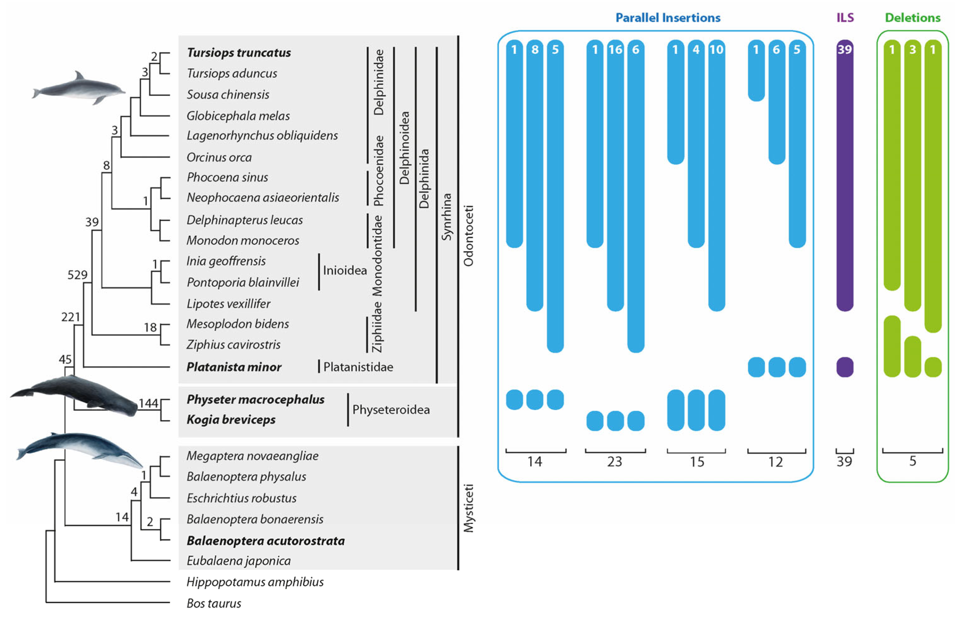 Genes 14 01830 g003