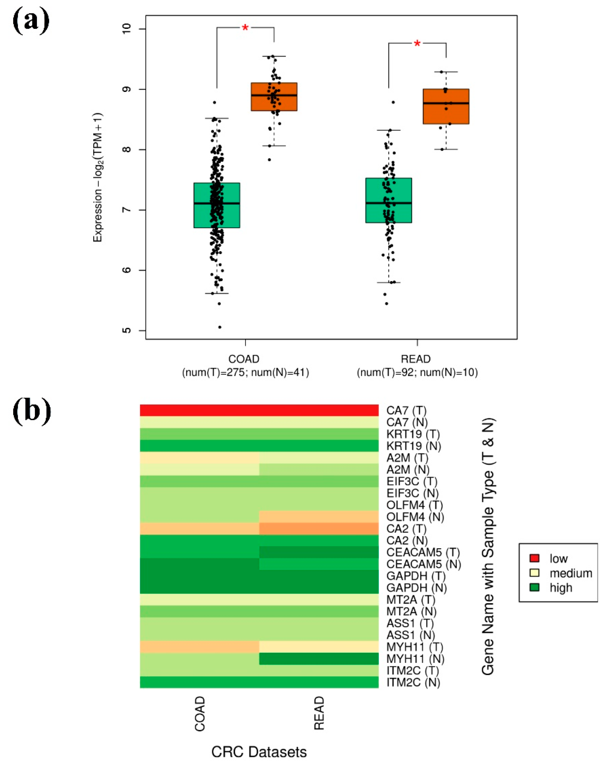 Genes 14 01836 g005