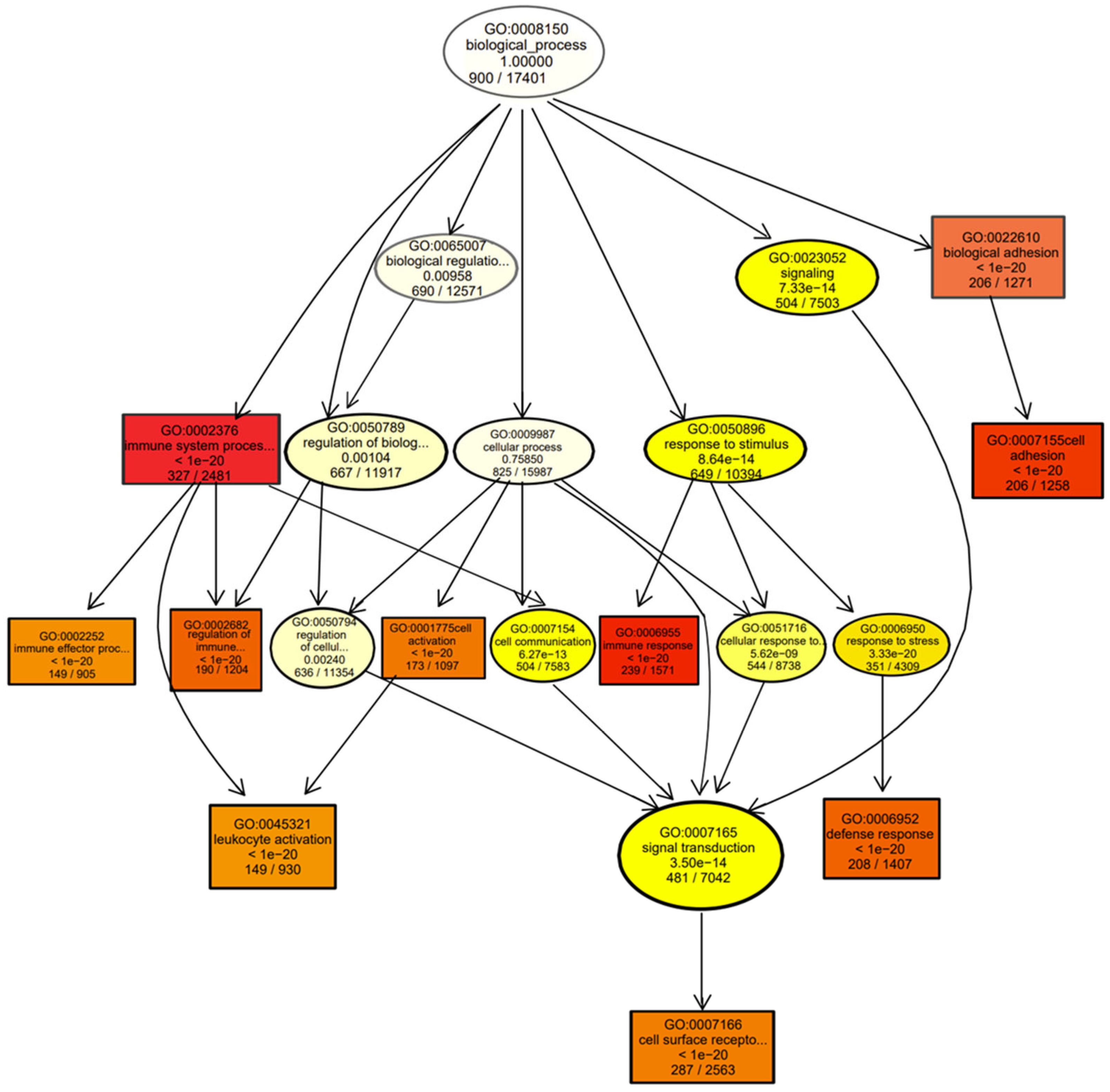 Genes 14 01848 g004 Genes 14 01848 g004