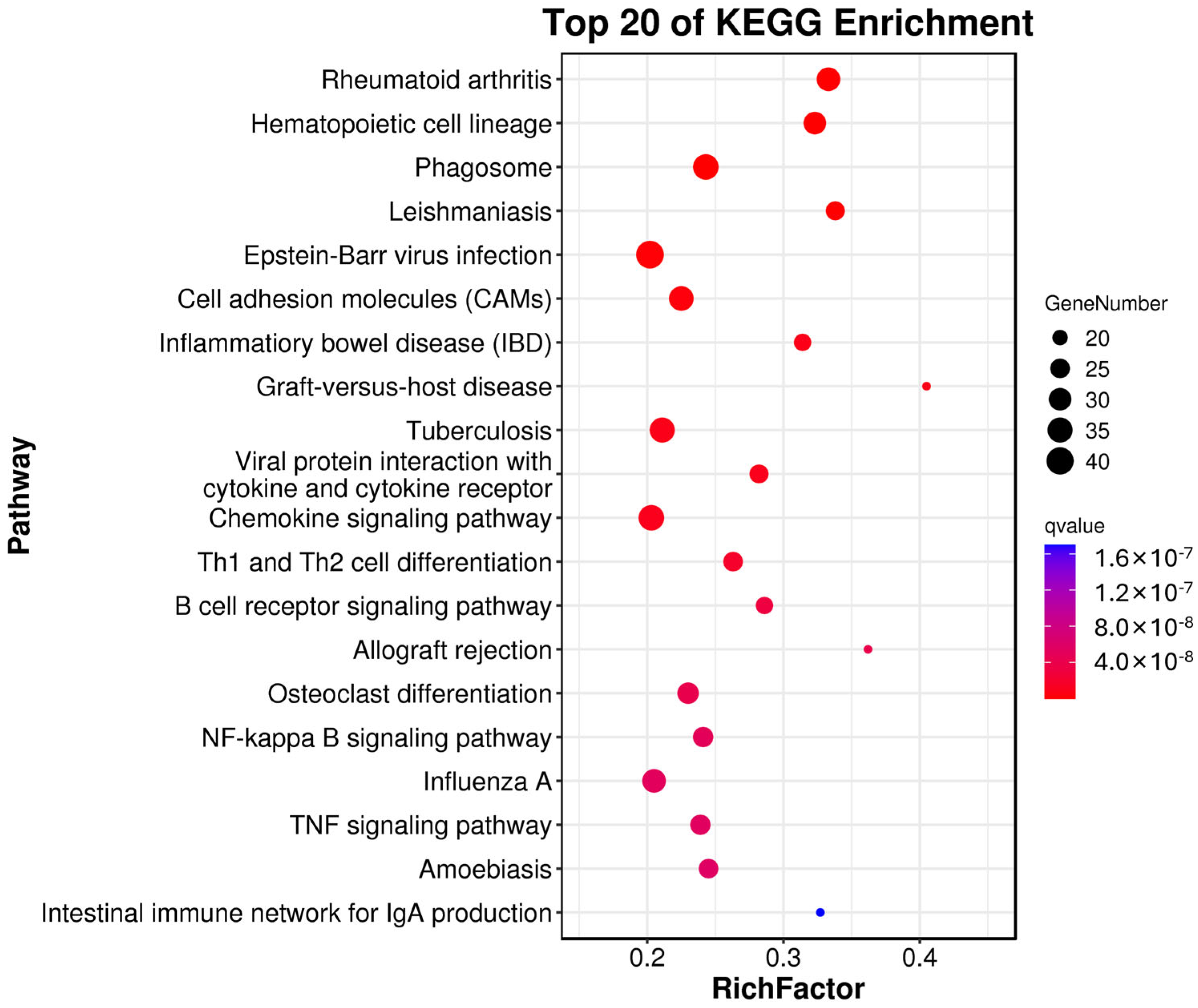 Genes 14 01848 g005 Genes 14 01848 g005