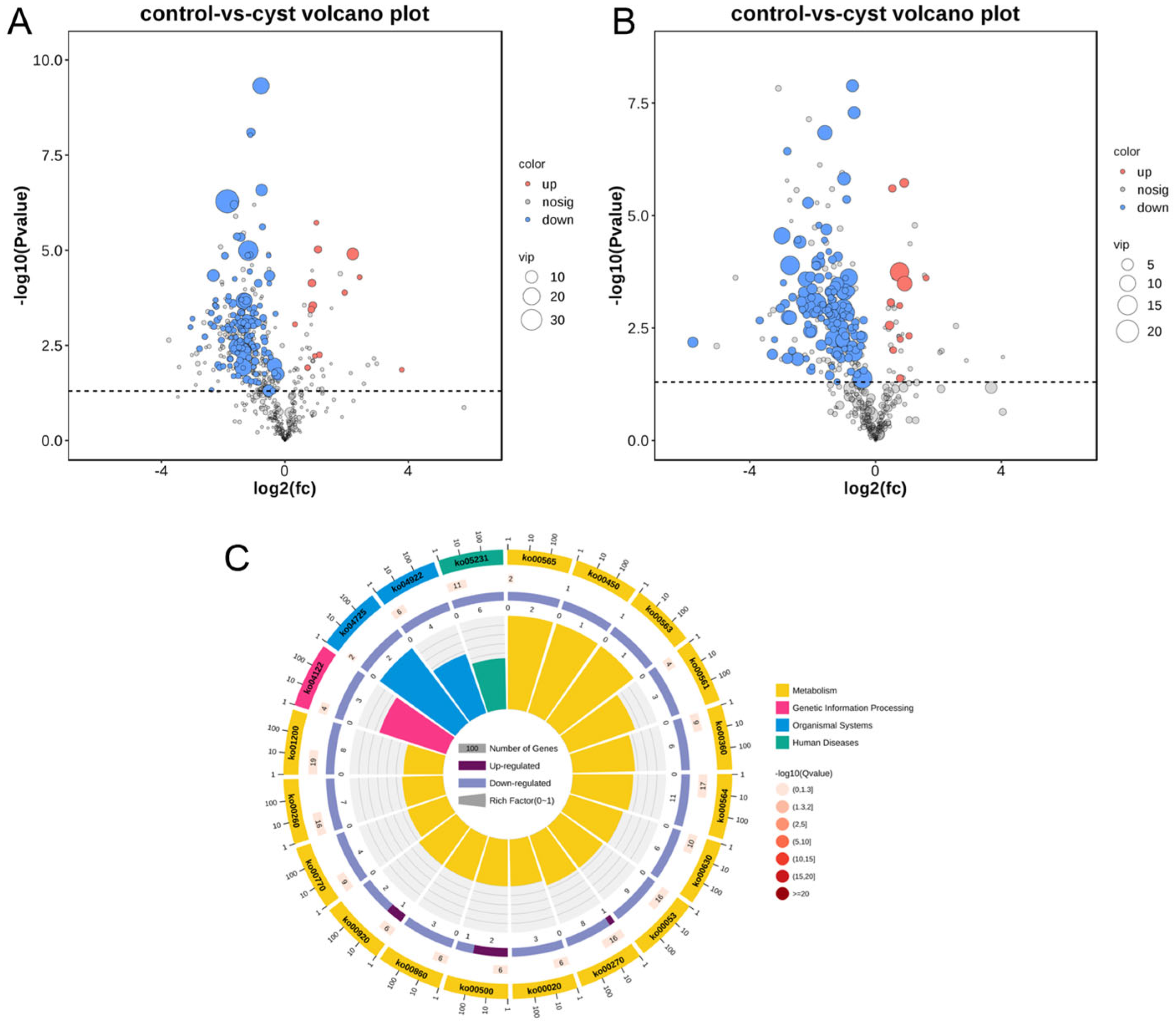 Genes 14 01848 g007 Genes 14 01848 g007