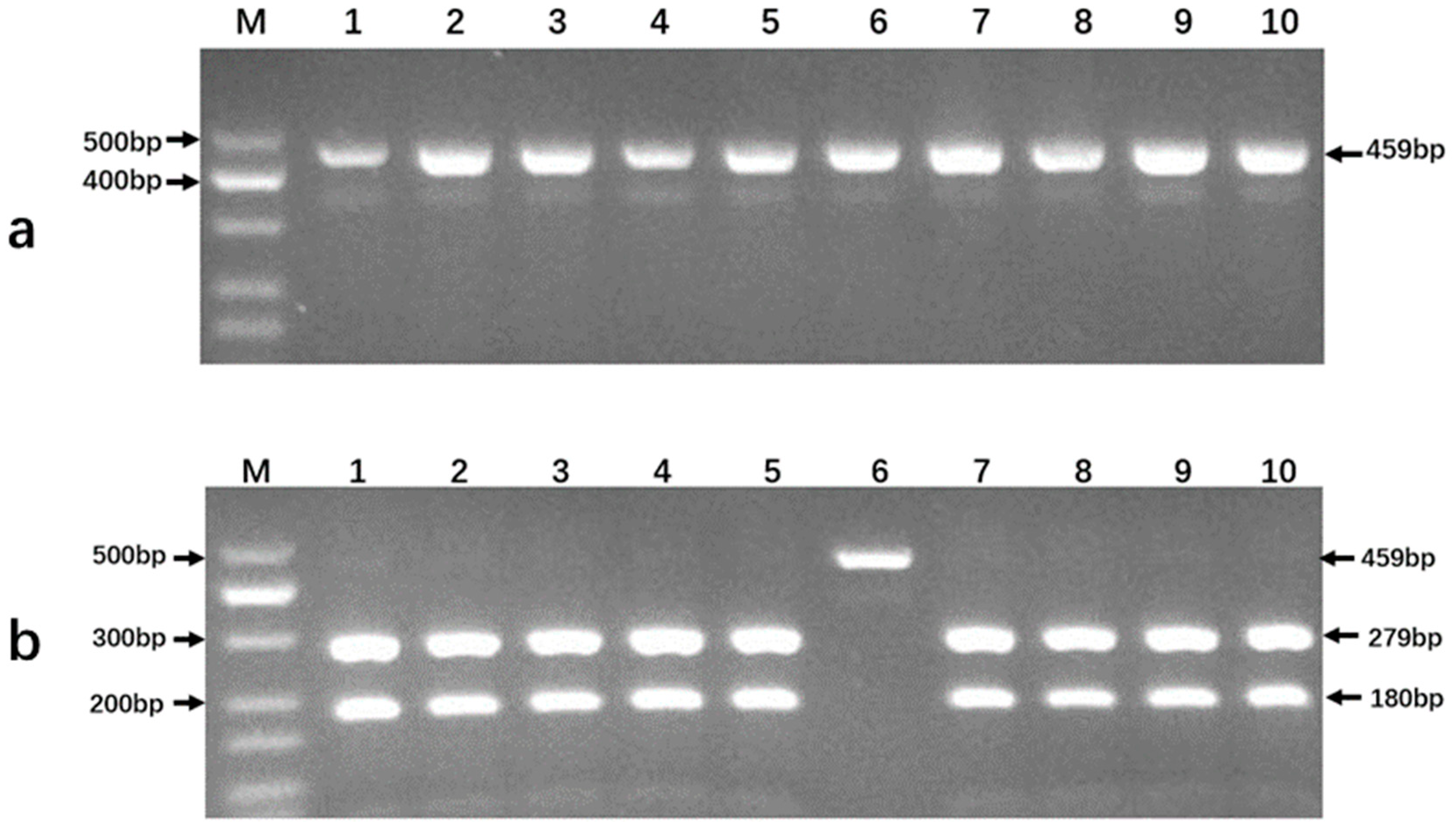 Genes 14 01850 g003