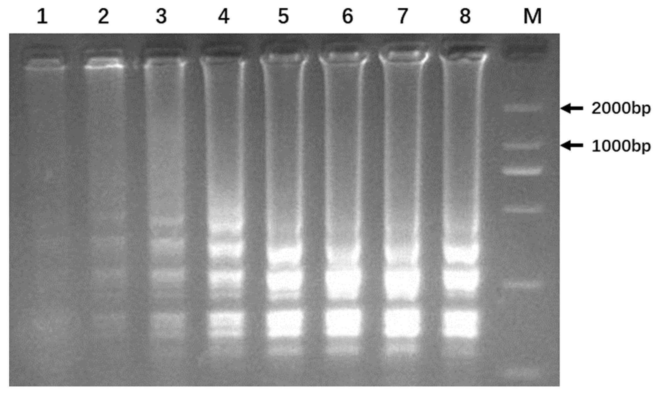 Genes 14 01850 g004