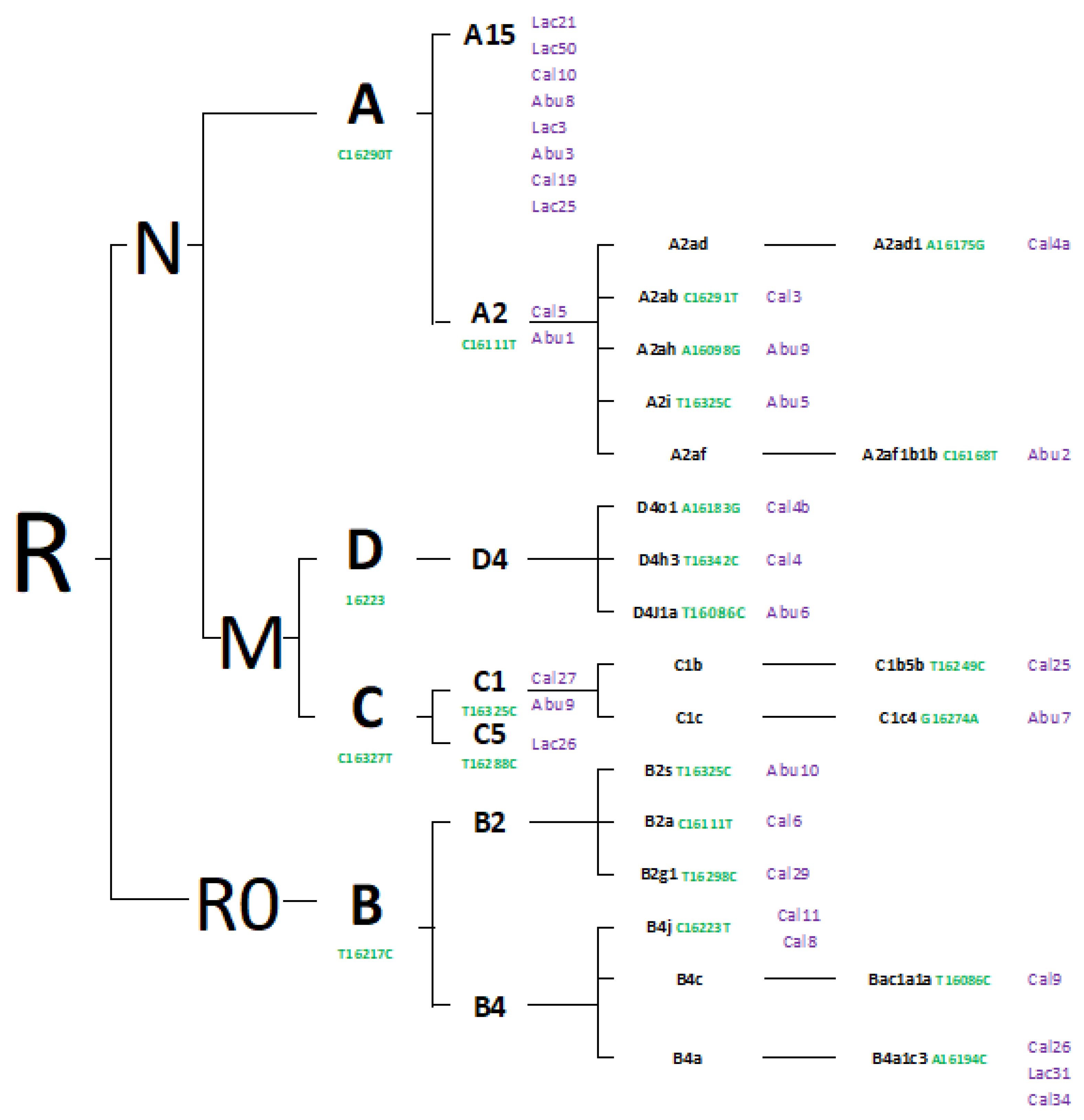 Genes 14 01853 g002 Genes 14 01853 g002