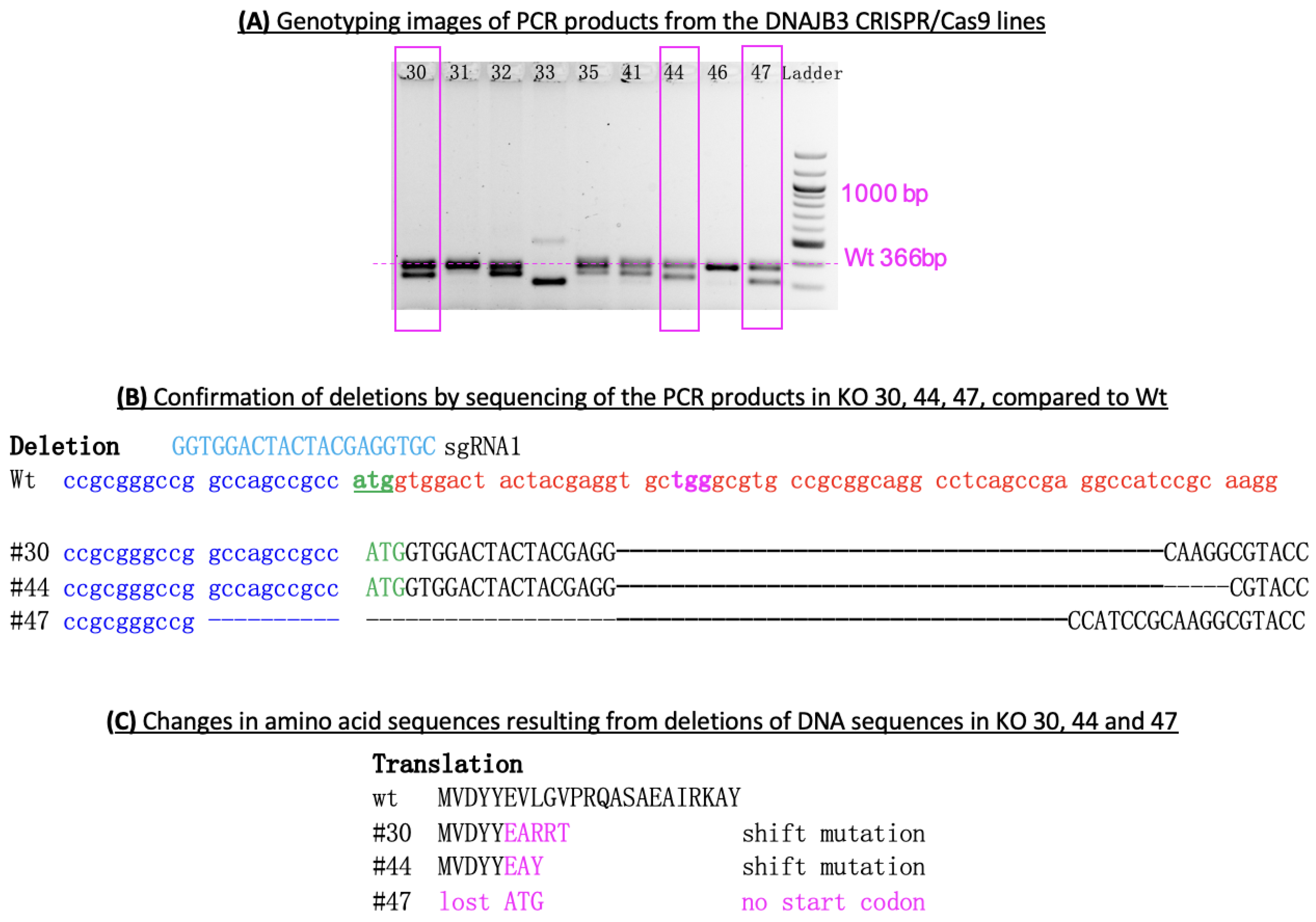 Genes 14 01857 g002