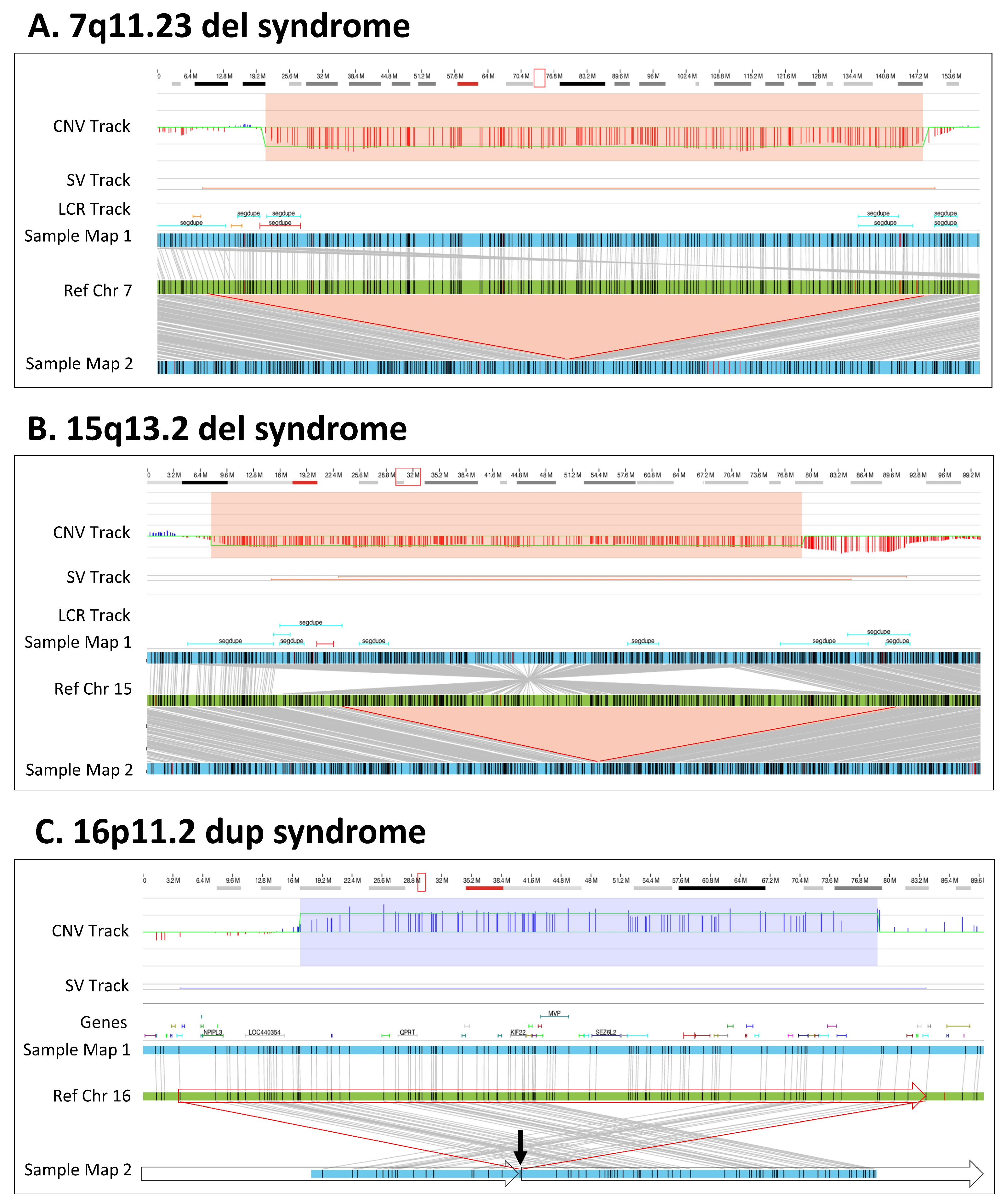Genes 14 01868 g002