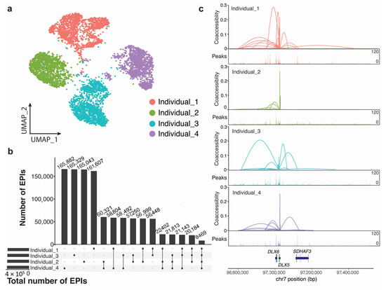 Osteogenic Differentiation Potential of Mesenchymal Stem Cells Using ...