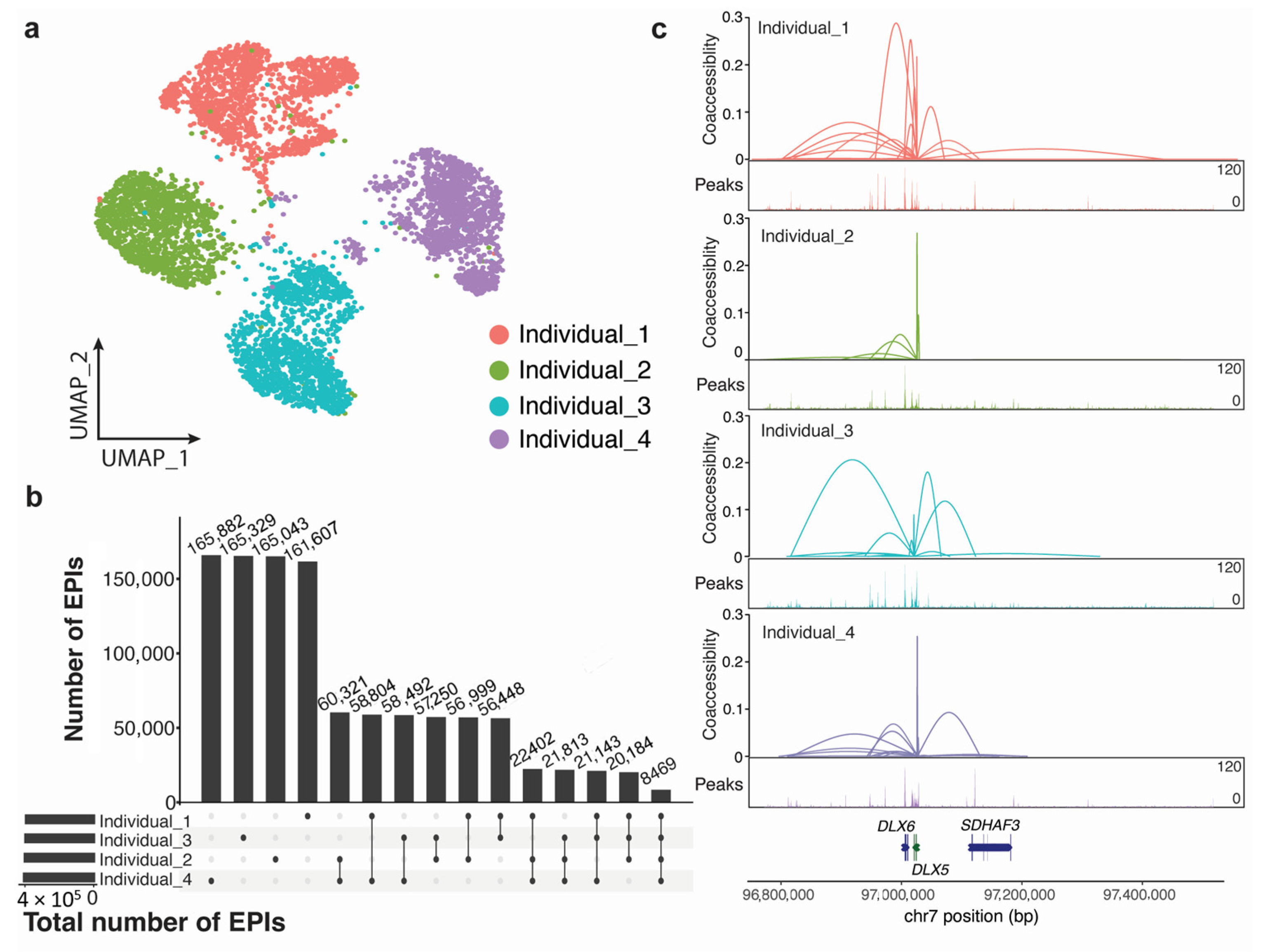 Genes 14 01871 g001