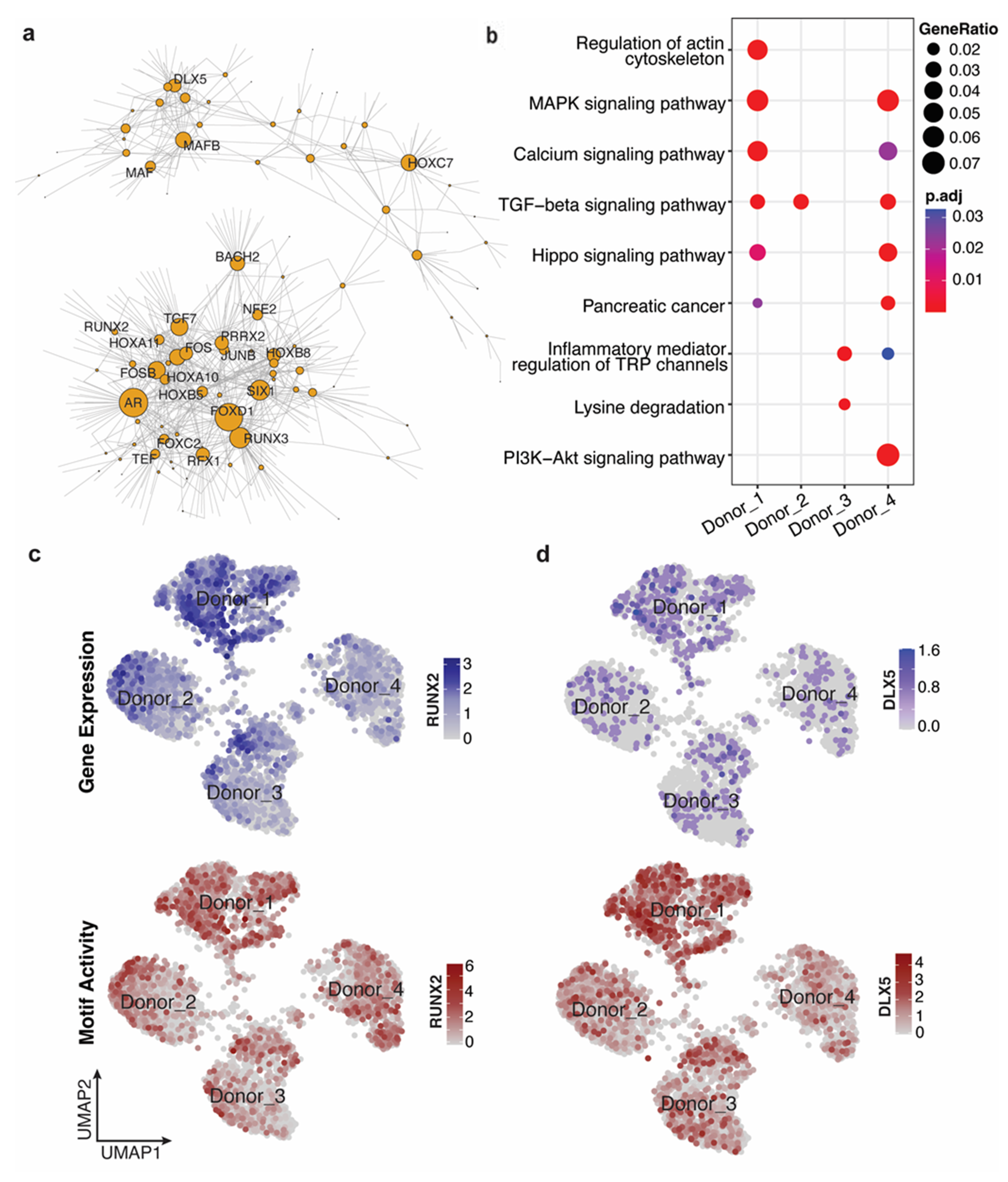 Genes 14 01871 g003